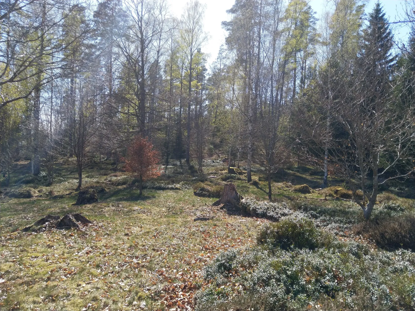 Villa, Finnatorp Havrefållen 12, Finnatorp, Ljungby