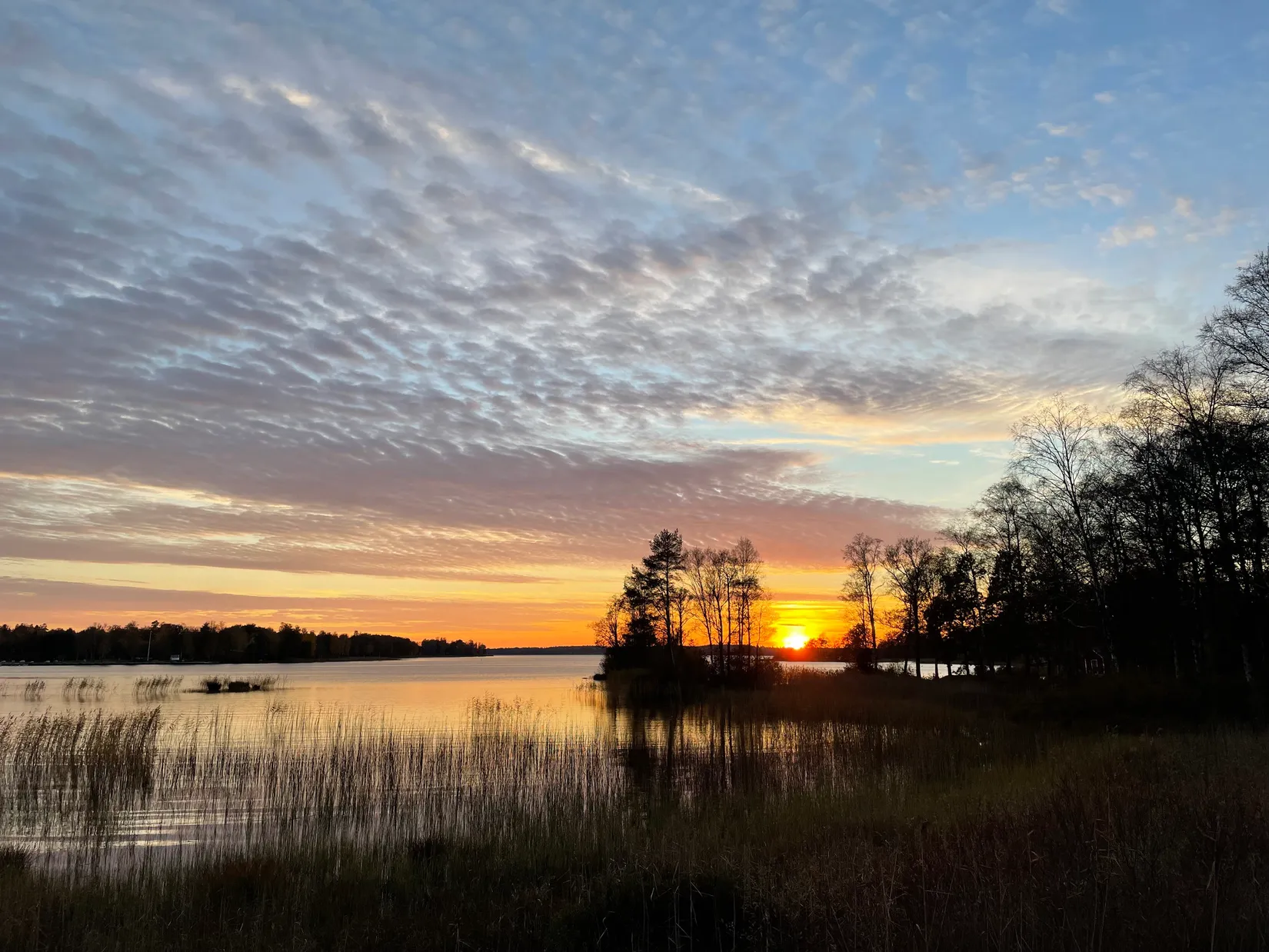 Villa, Finnatorp Havrefållen 12, Finnatorp, Ljungby