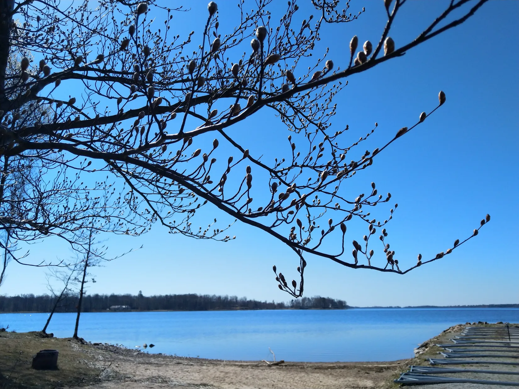 Villa, Finnatorp Havrefållen 12, Finnatorp, Ljungby