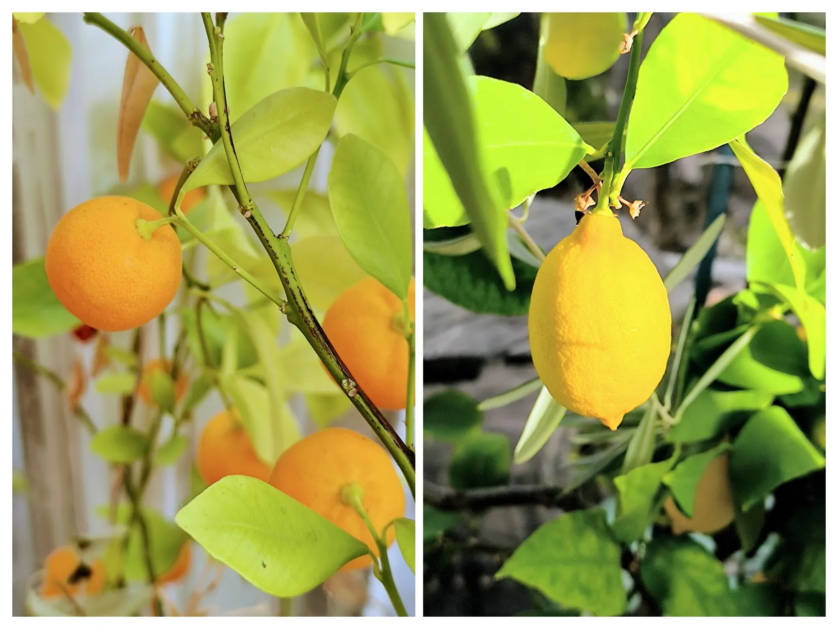 Villa, Herrhagens Byväg 70, Herrhagen, Uppsala