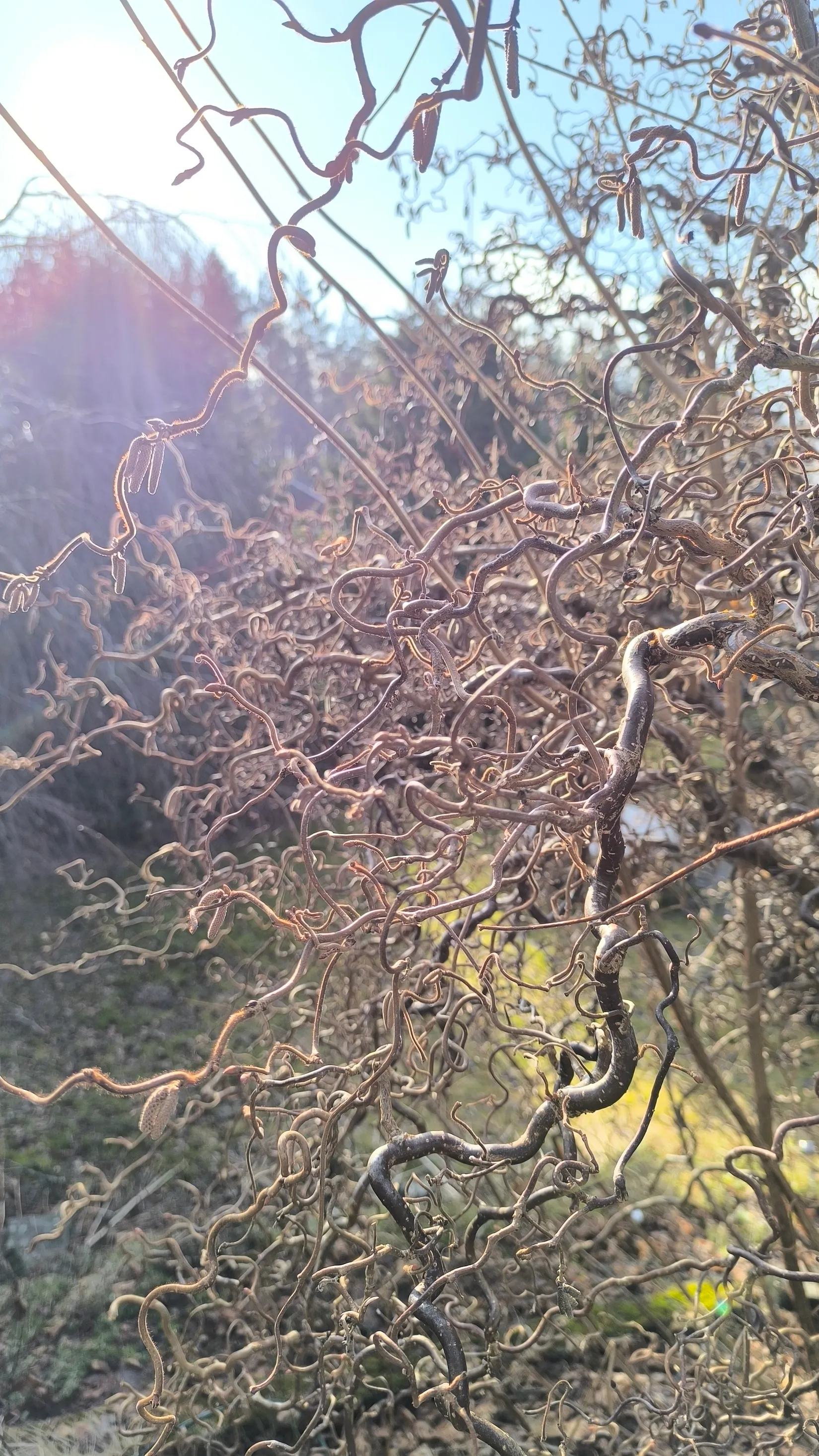 Villa, Herrhagens Byväg 70, Herrhagen, Uppsala