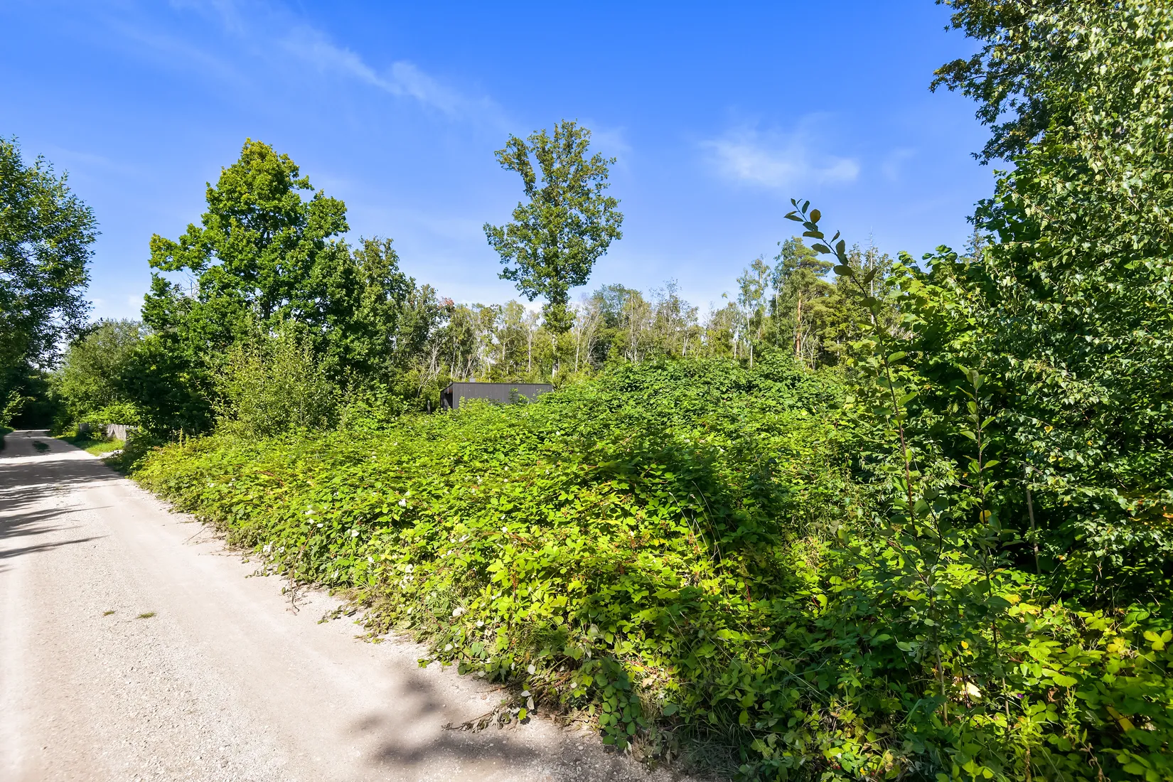 Tomt, Öja Olovs 421D, Öja, Gotland