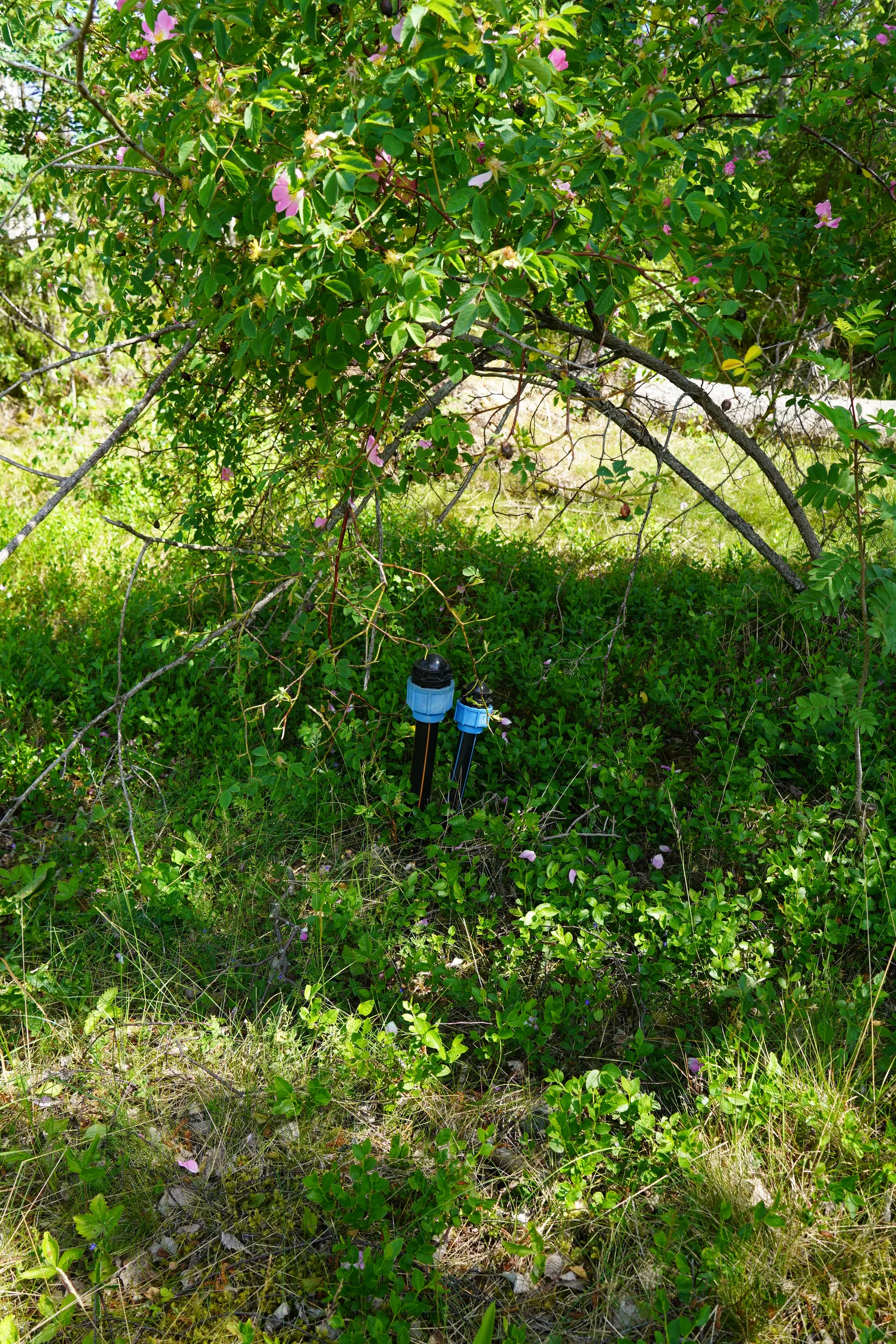 Tomt, Gräskö Vadholmen 19, Gräskö, Norrtälje