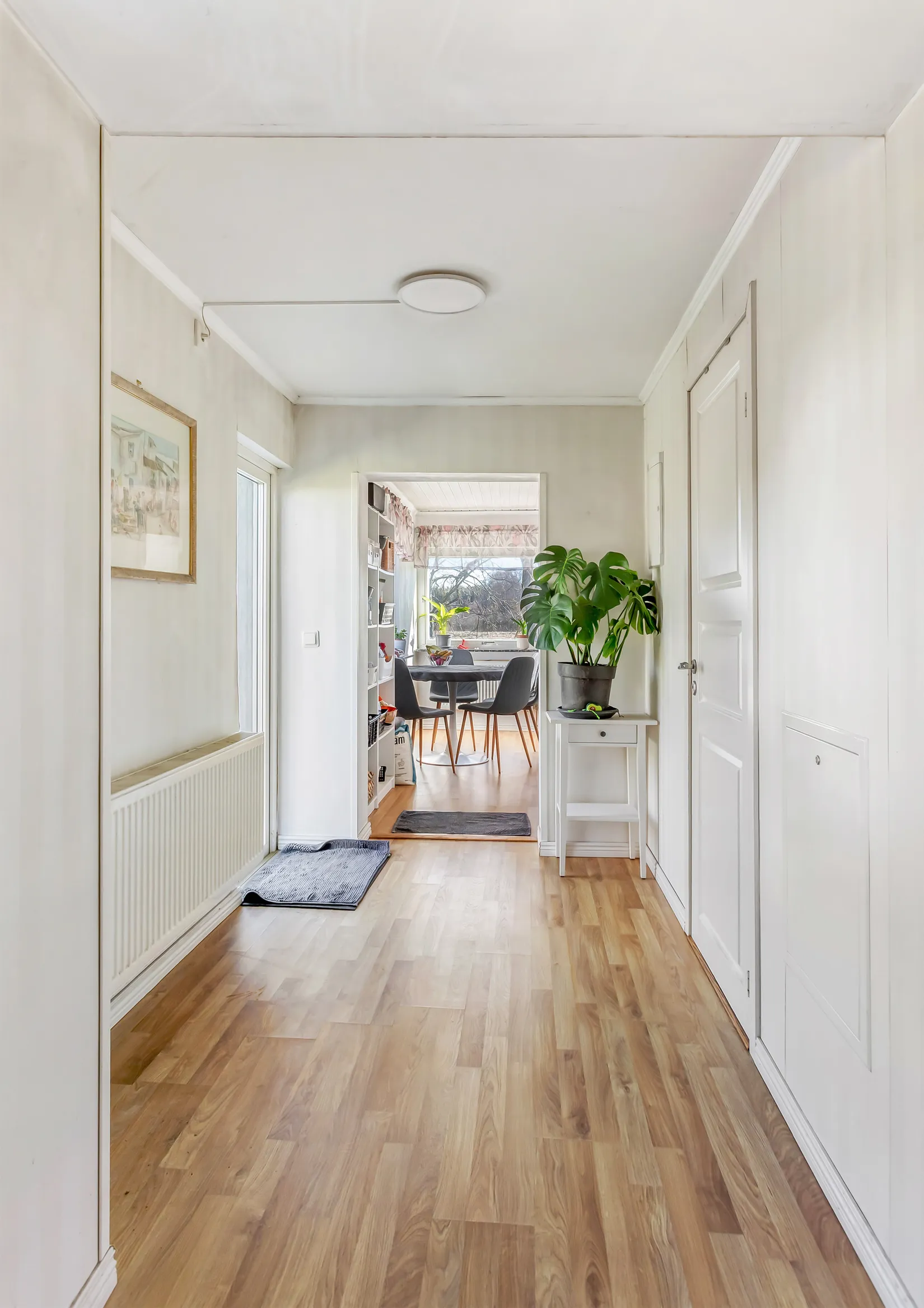 Gård/Skog, Rögla byaväg 43, Rögla, Ystad