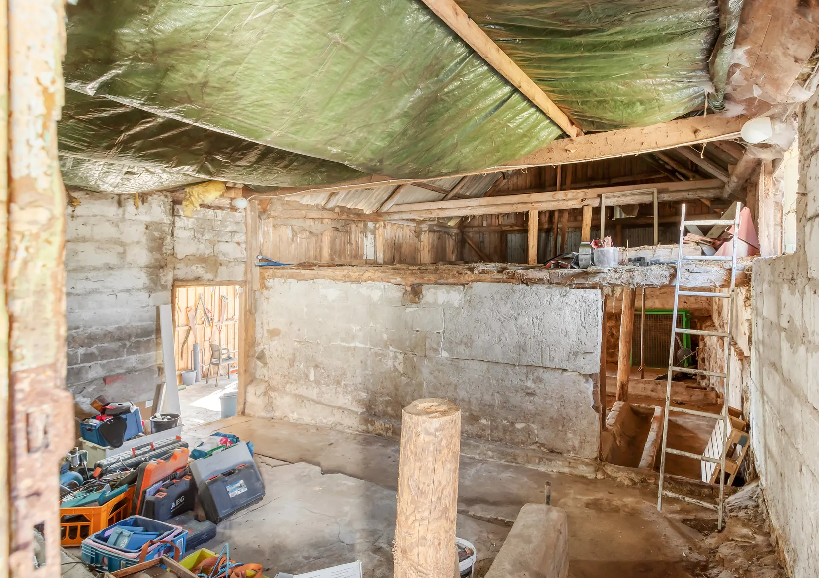 Gård/Skog, Rögla byaväg 43, Rögla, Ystad