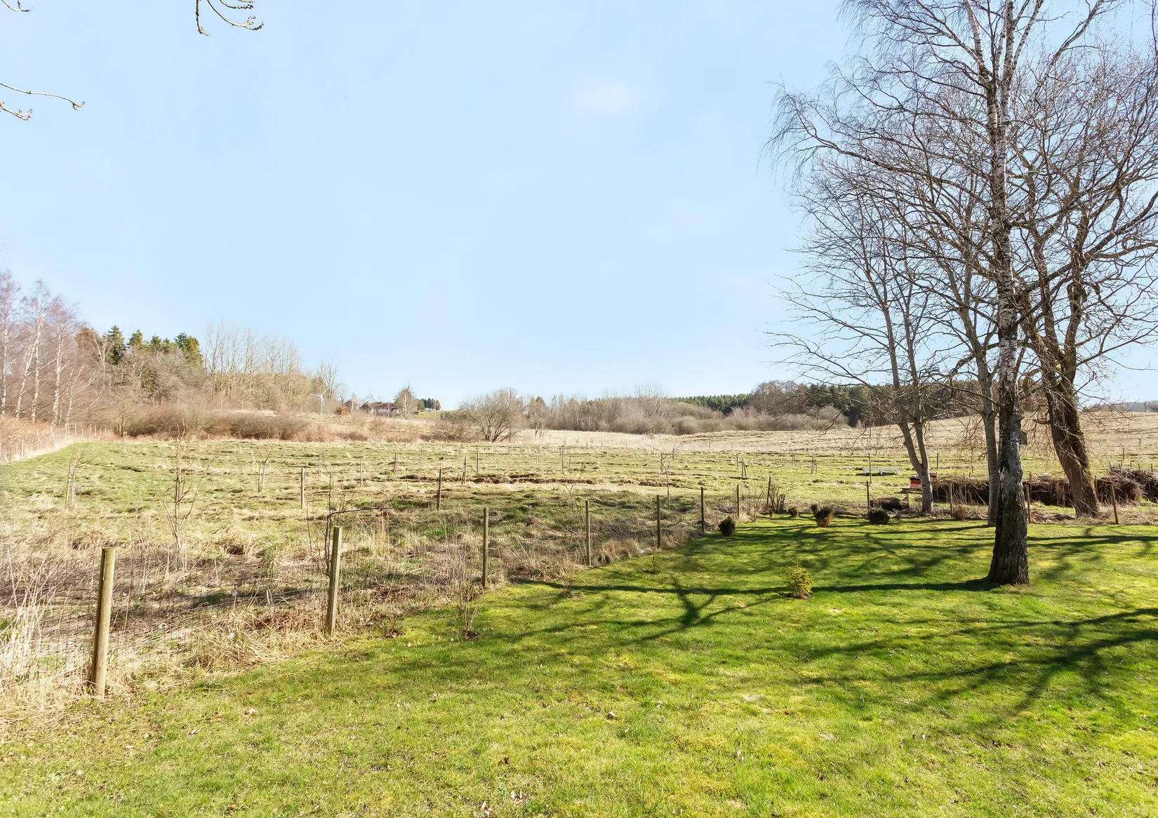 Gård/Skog, Rögla byaväg 43, Rögla, Ystad