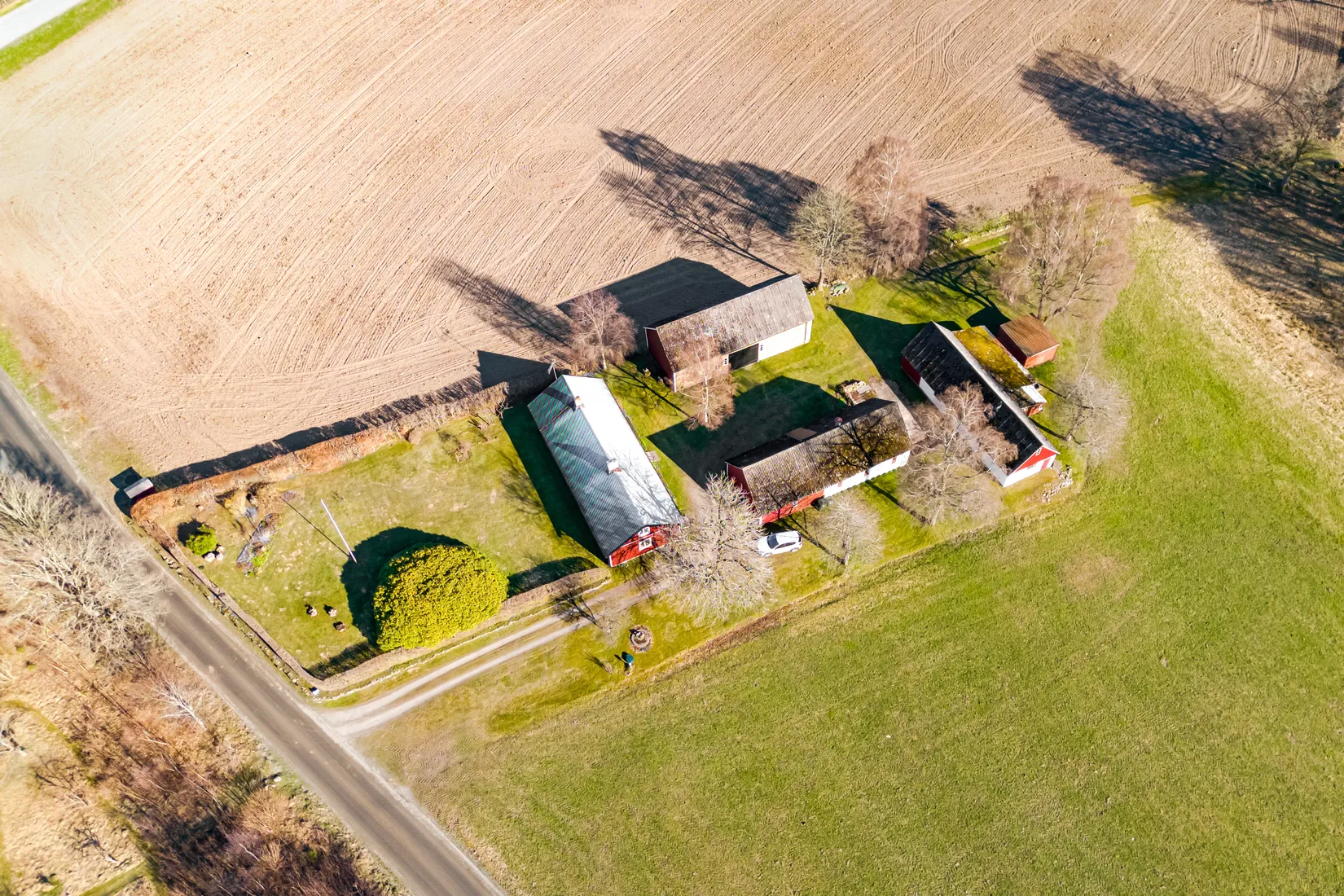 Gård/Skog, Rönnebrödsvägen 7, Sankt Olof, Rönnebröd, Simrishamn