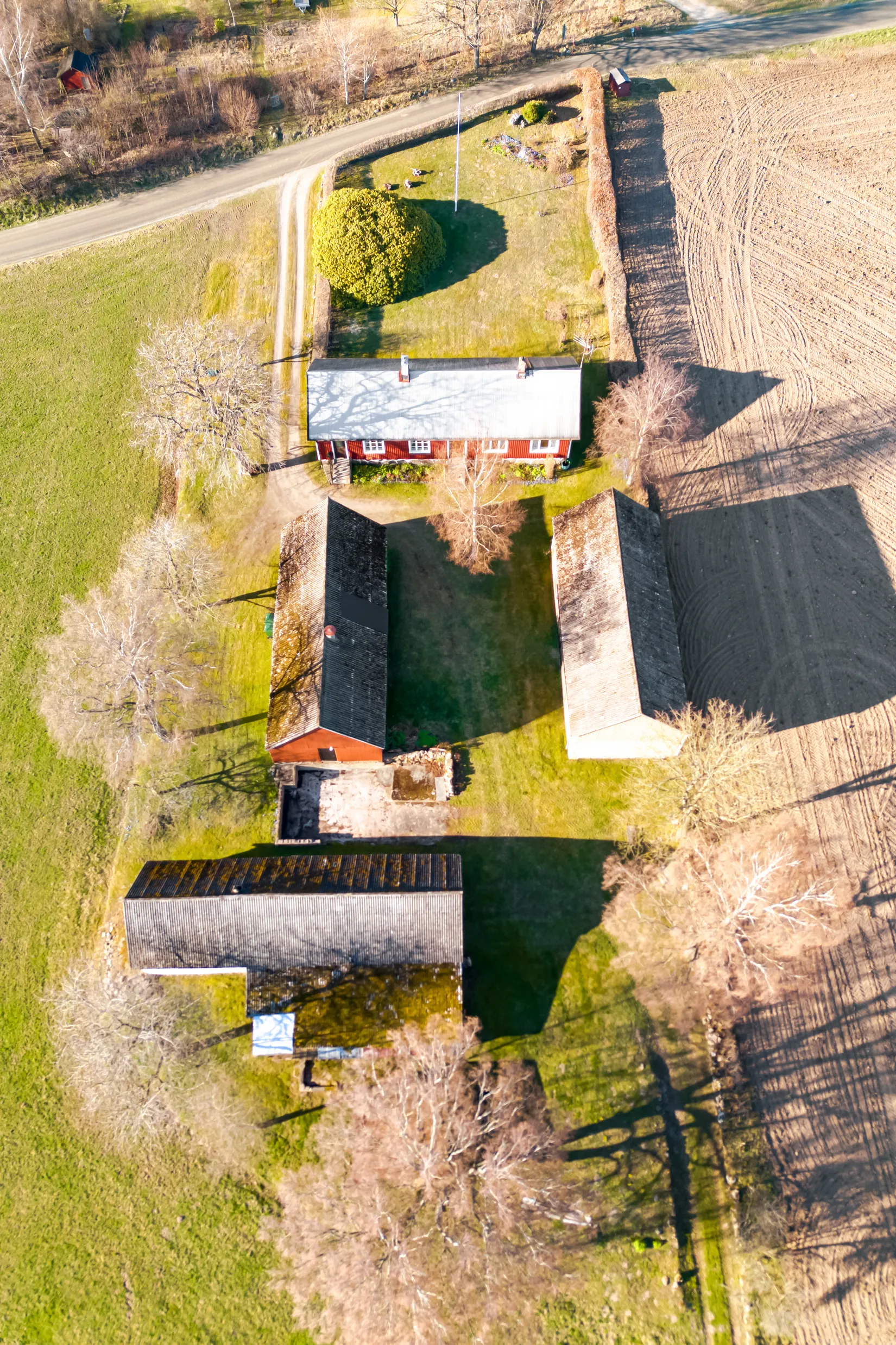 Gård/Skog, Rönnebrödsvägen 7, Sankt Olof, Rönnebröd, Simrishamn