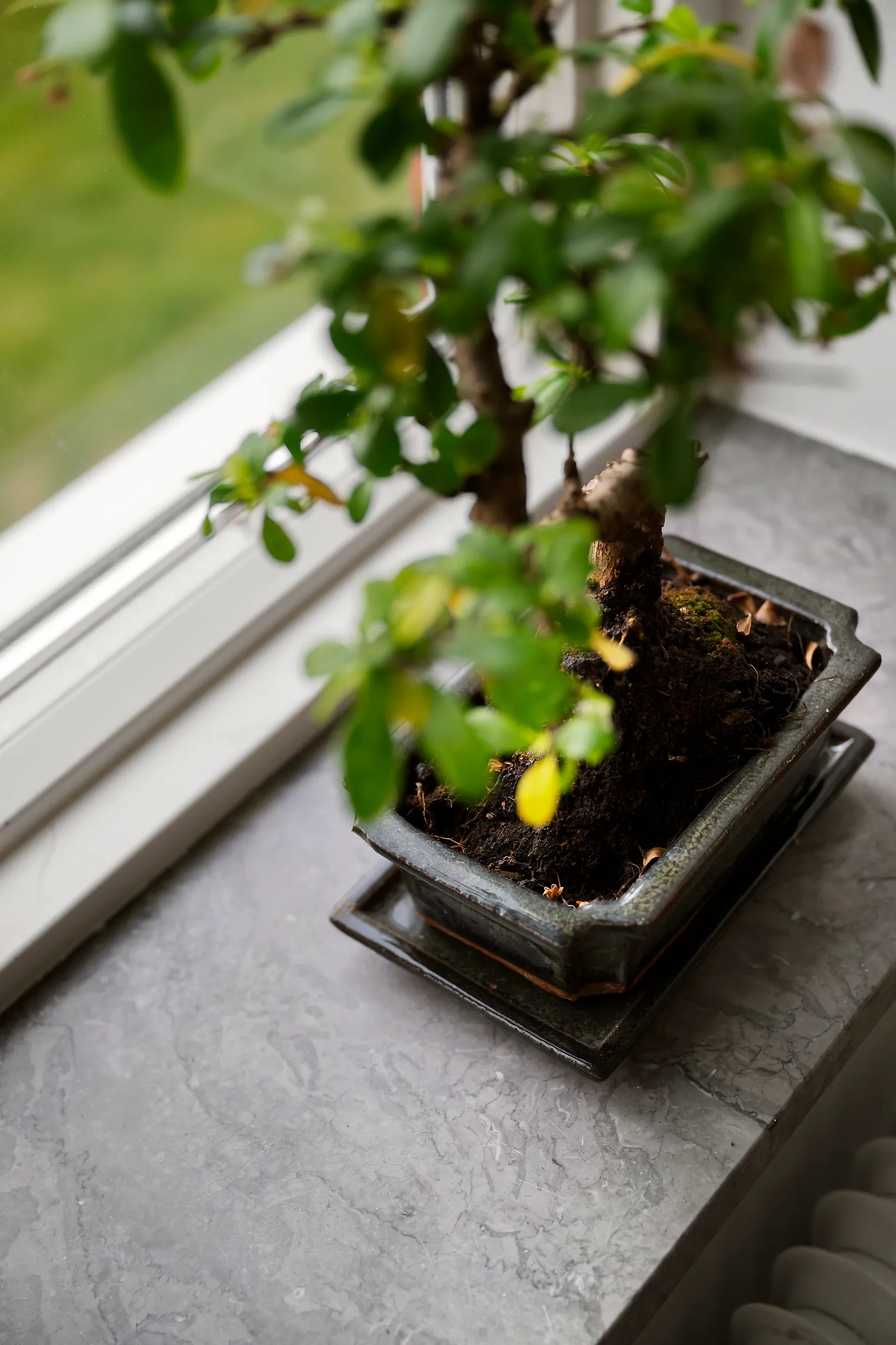 Villa, Kapellplan 3, Centralt Trelleborg, Trelleborg