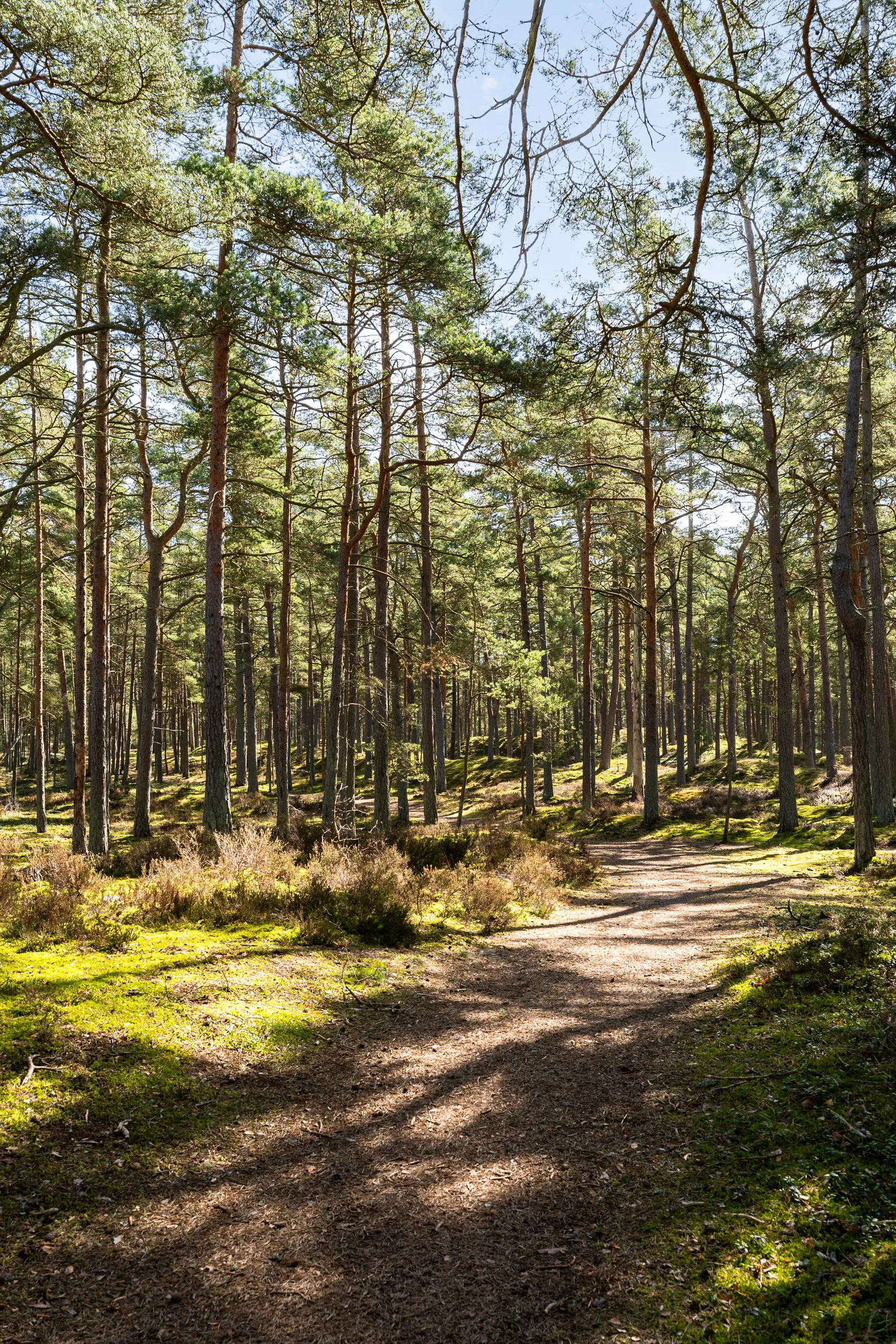 Radhus, Oxbärsvägen 14A, Åhus - Södra Äspet, Kristianstad