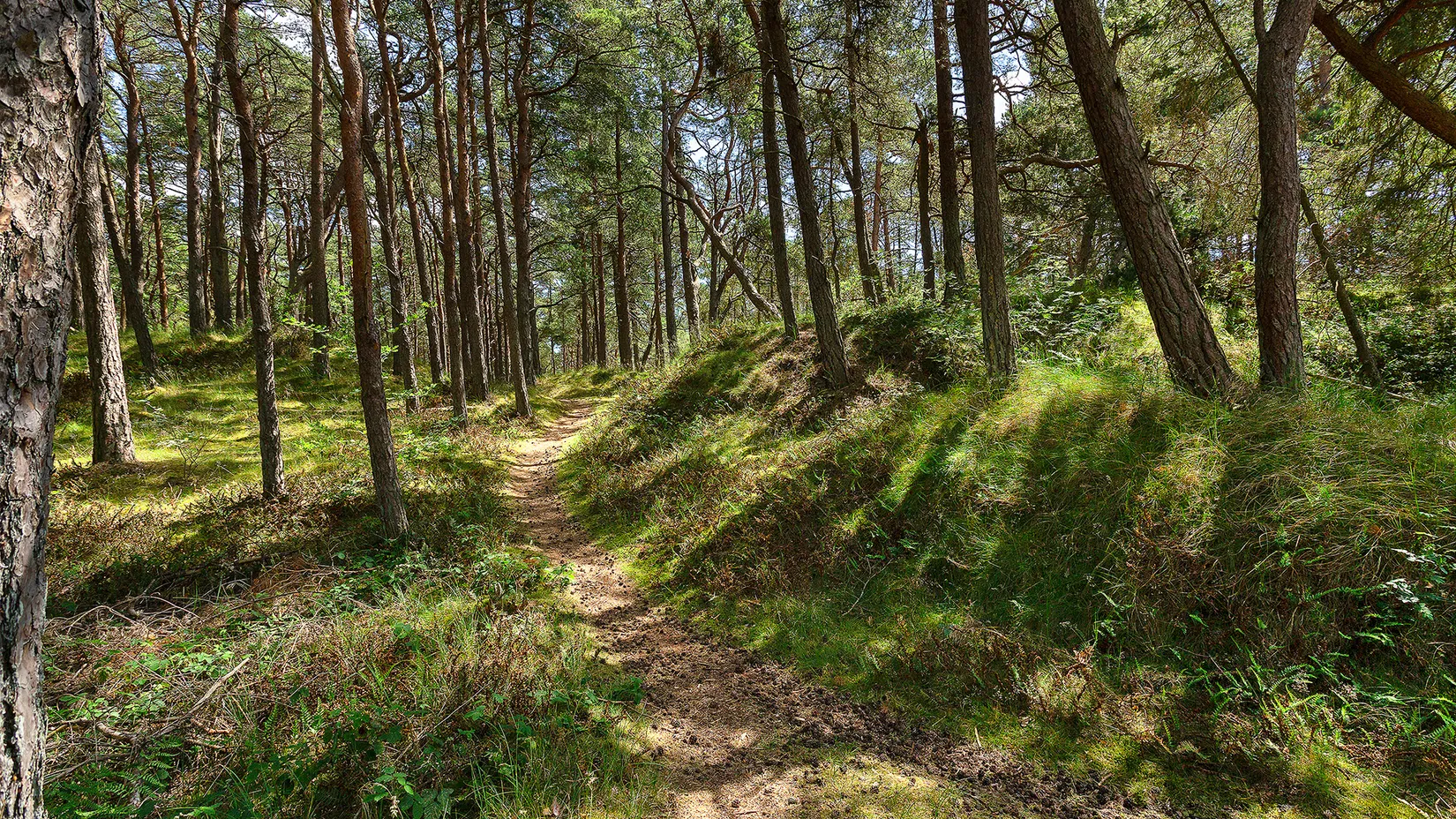 Fritidshus, Sandby hedväg 4, Sandby strand, Simrishamn