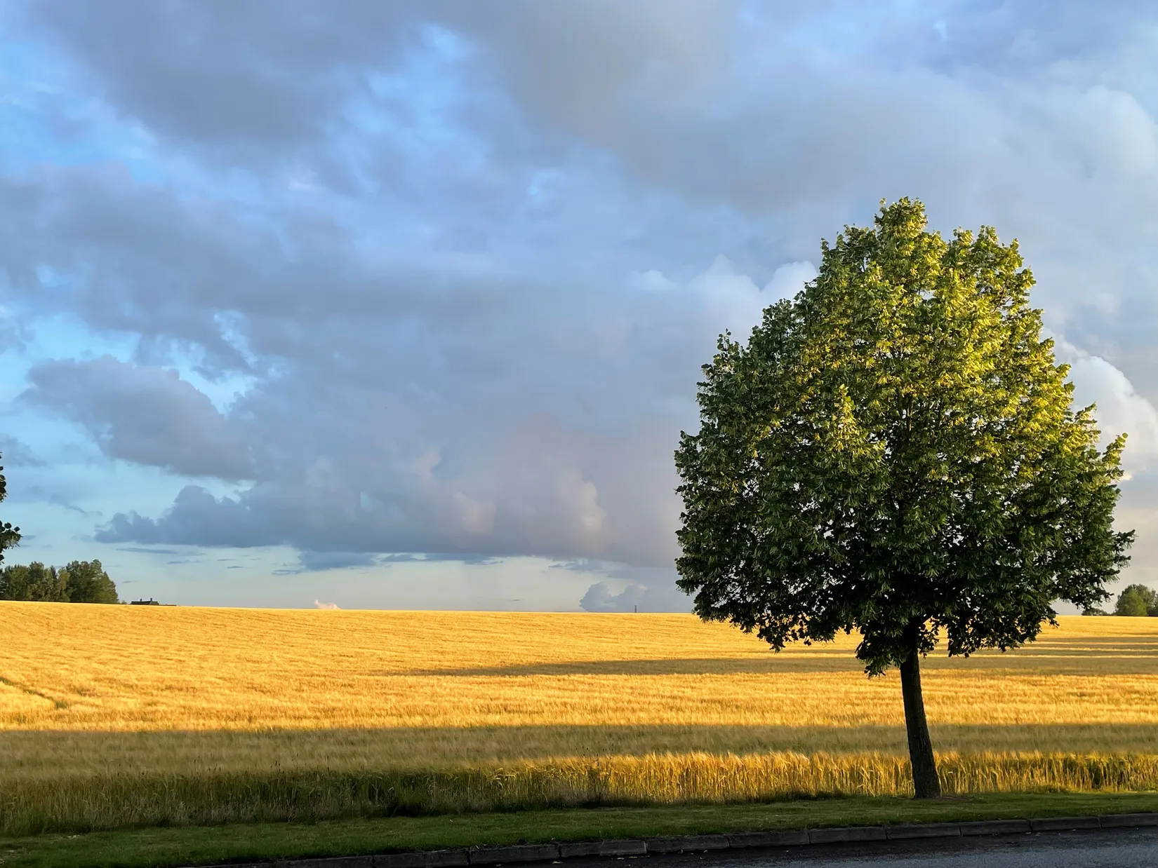 Villa, Louisedalsvägen 11, Käglinge, Malmö