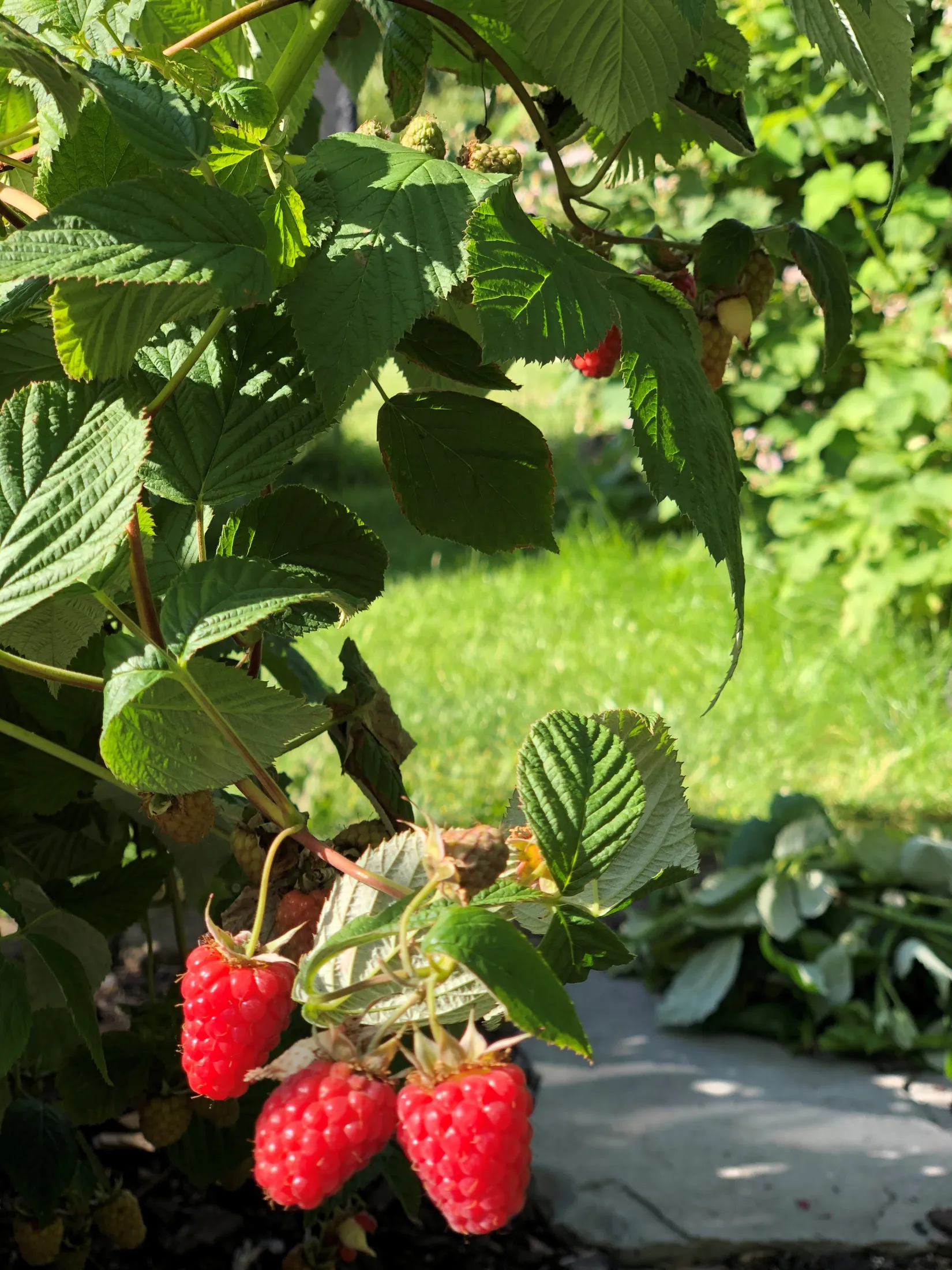 Villa, Louisedalsvägen 11, Käglinge, Malmö