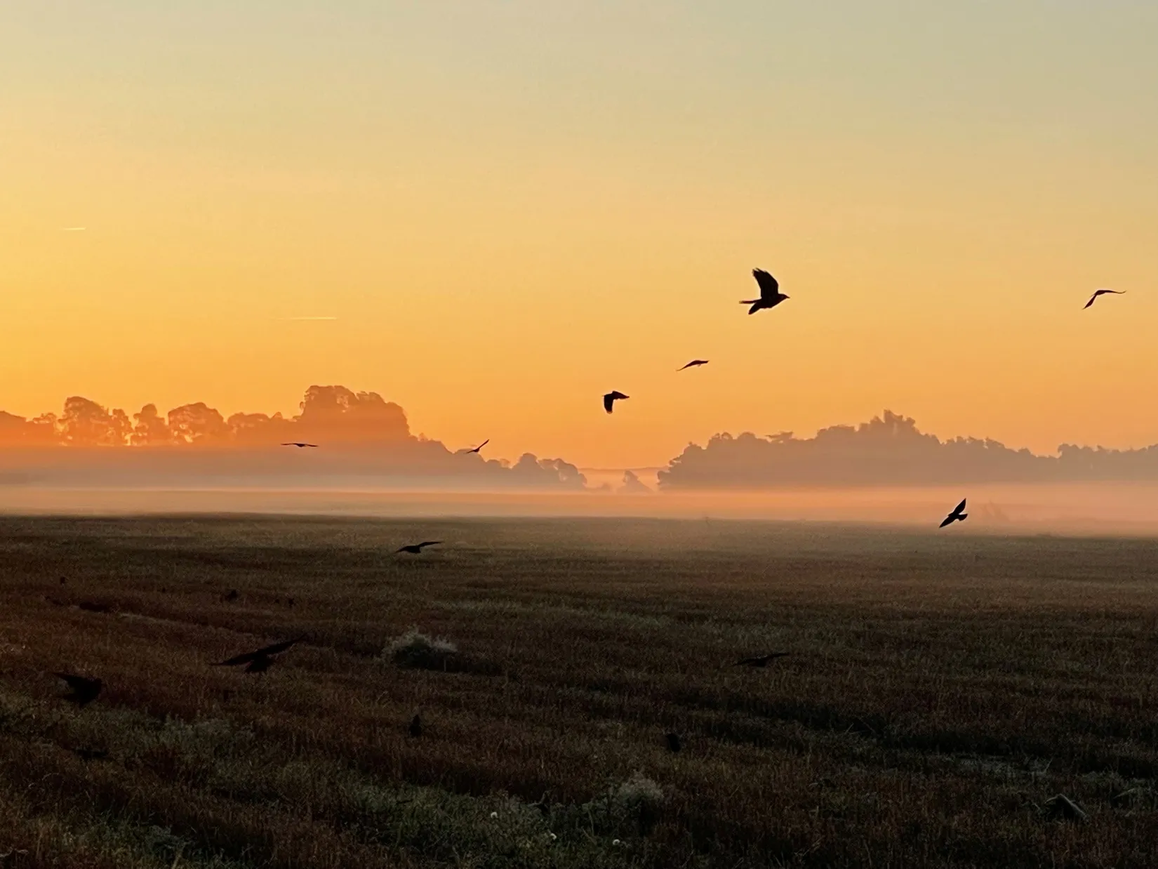Villa, Louisedalsvägen 11, Käglinge, Malmö