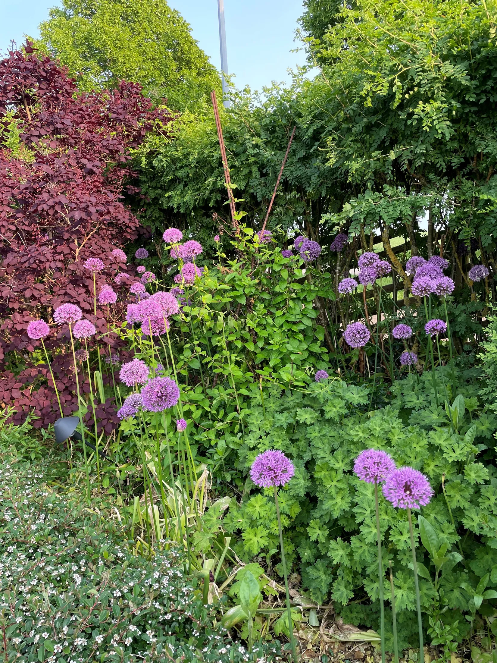 Villa, Louisedalsvägen 11, Käglinge, Malmö