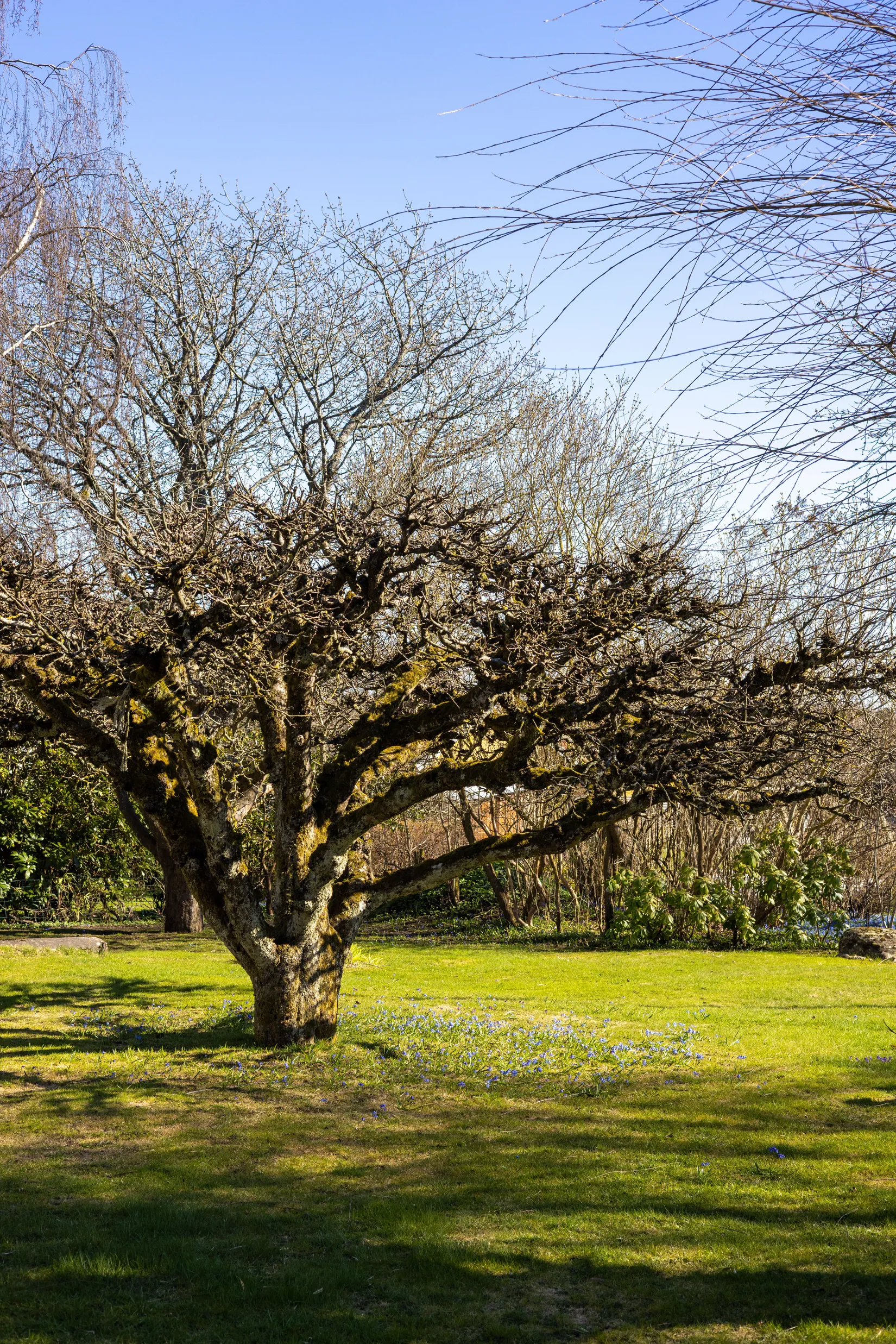 Villa, Parkvägen 5, Söndrum, Halmstad