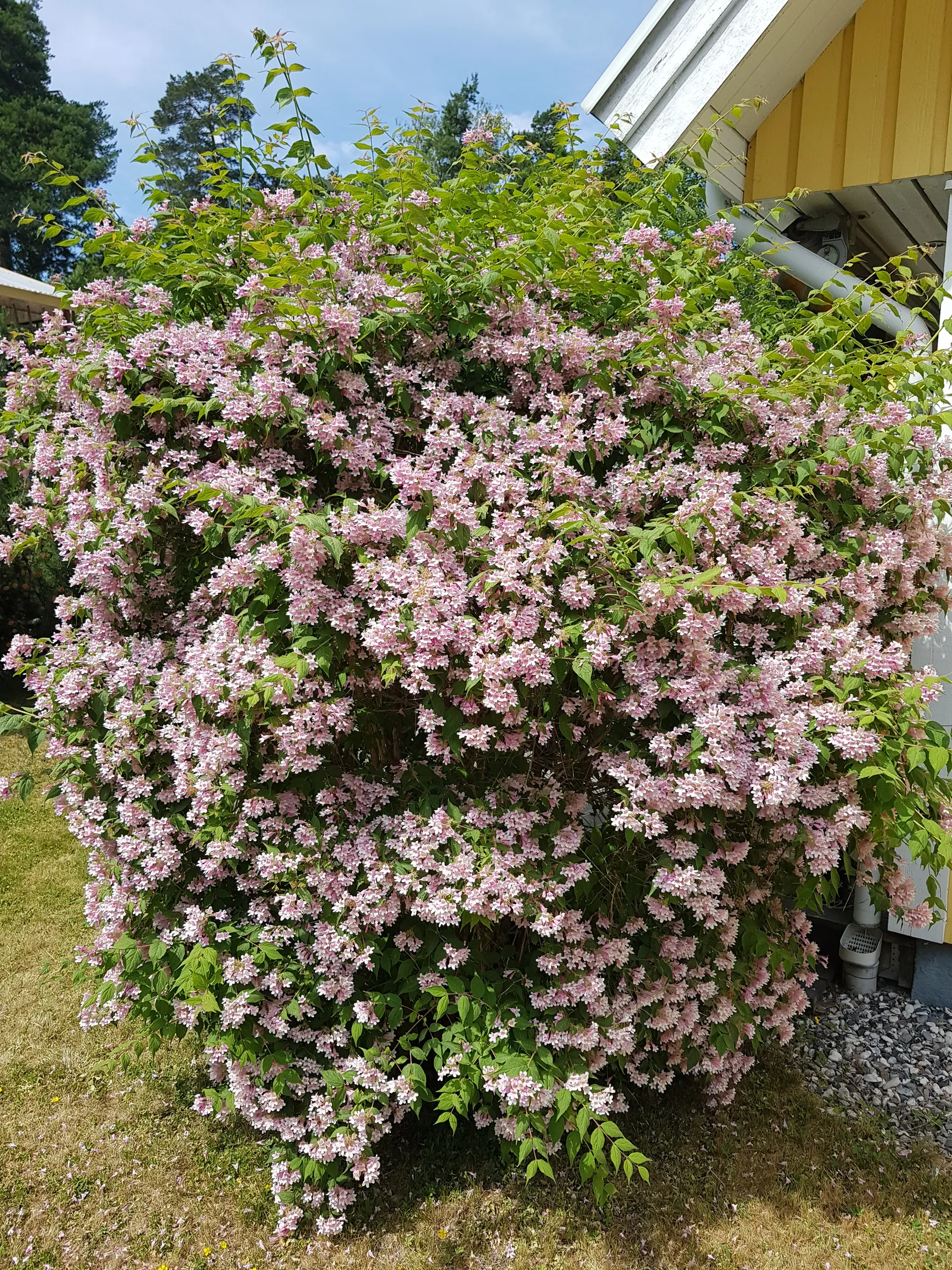 Villa, Biskop Johannes väg 23, Stäket, Järfälla