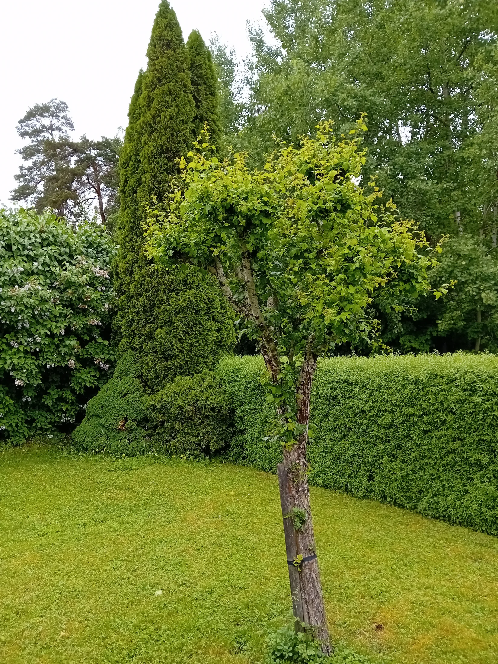 Villa, Biskop Johannes väg 23, Stäket, Järfälla