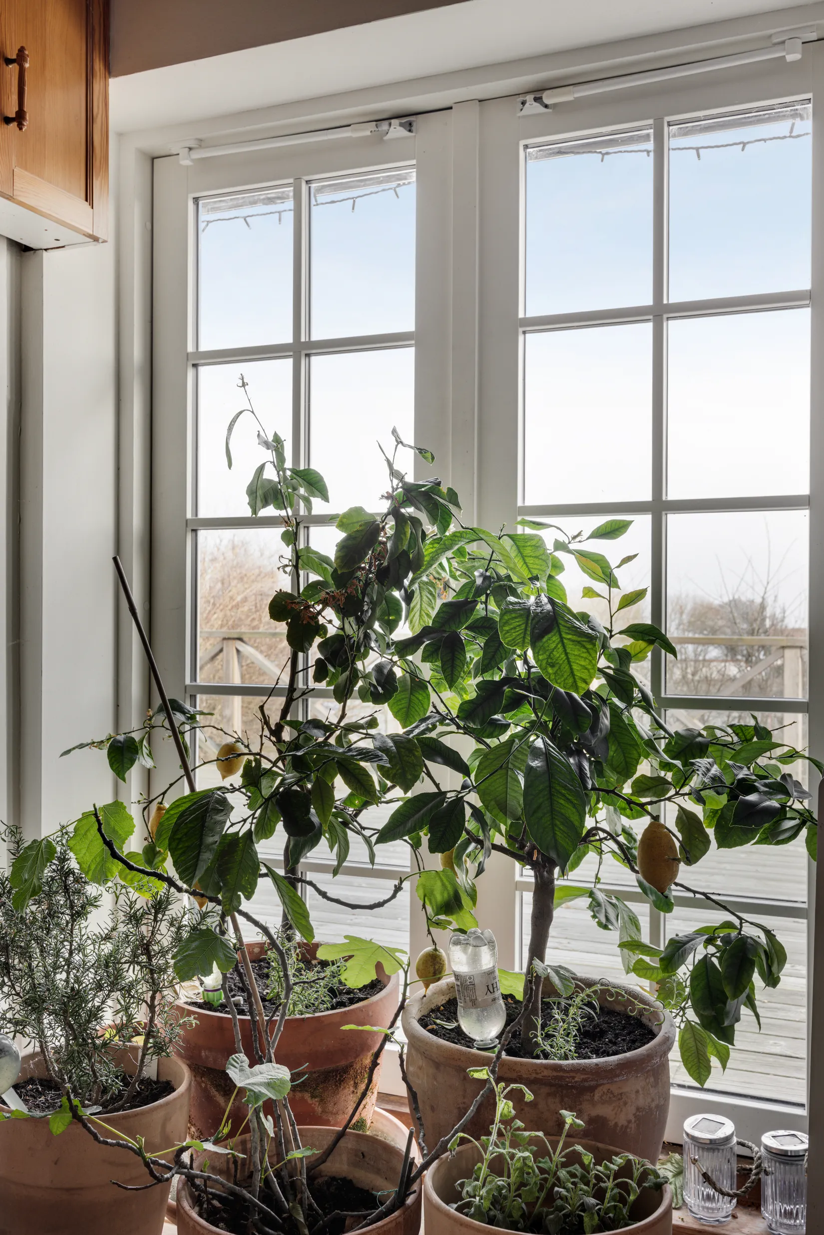 Villa, Kustvägen 57, Abbekås, Skurup