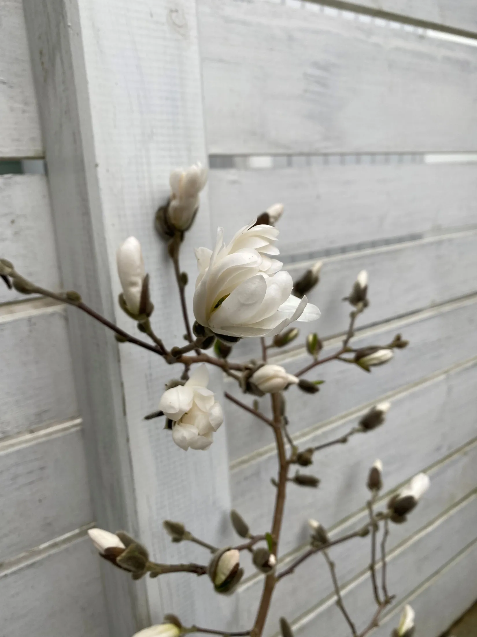 Villa, Radhus, Bivägen 73, Björkhaga, Österåker