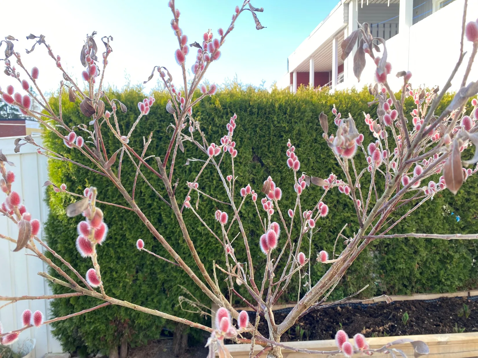 Villa, Radhus, Bivägen 73, Björkhaga, Österåker