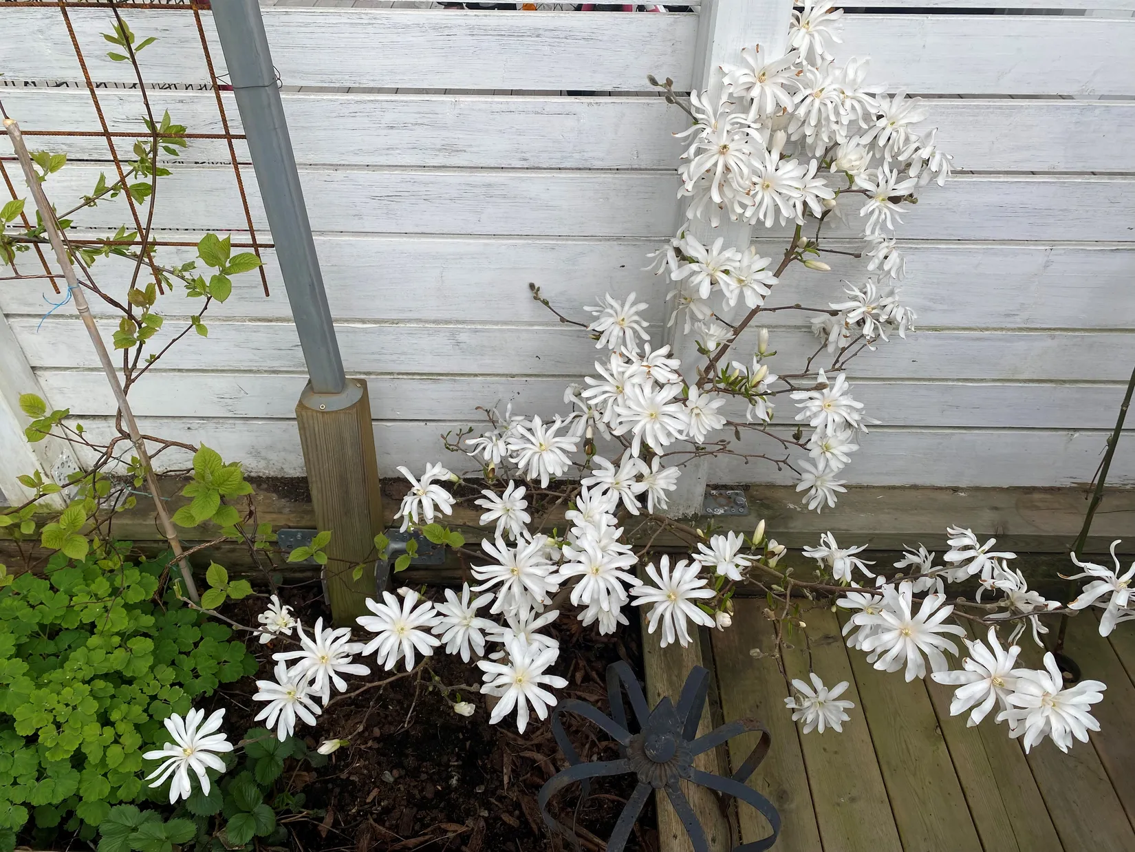 Villa, Radhus, Bivägen 73, Björkhaga, Österåker