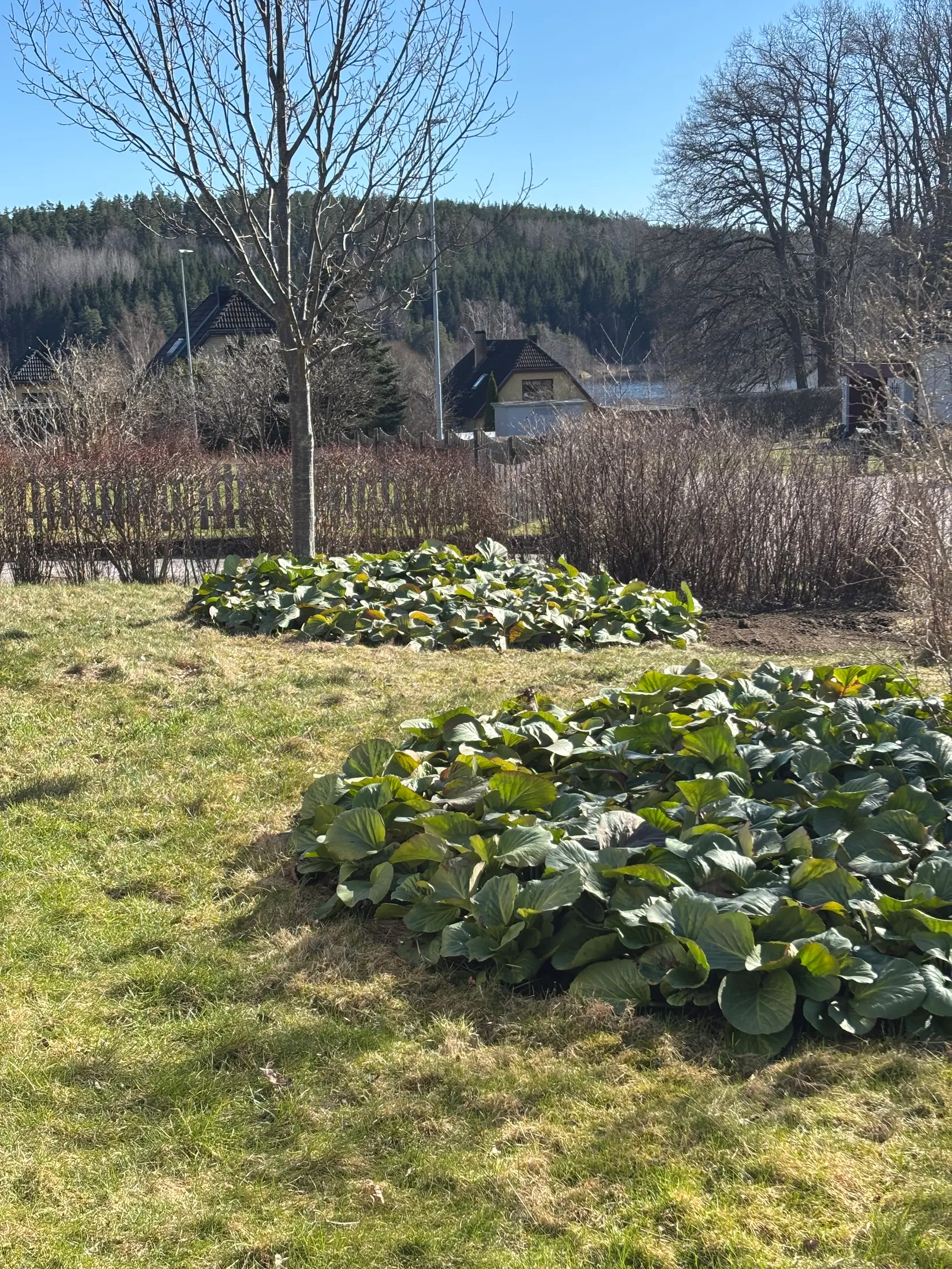 Villa, Bjurtorpsvägen 3, Bjuren, Flen