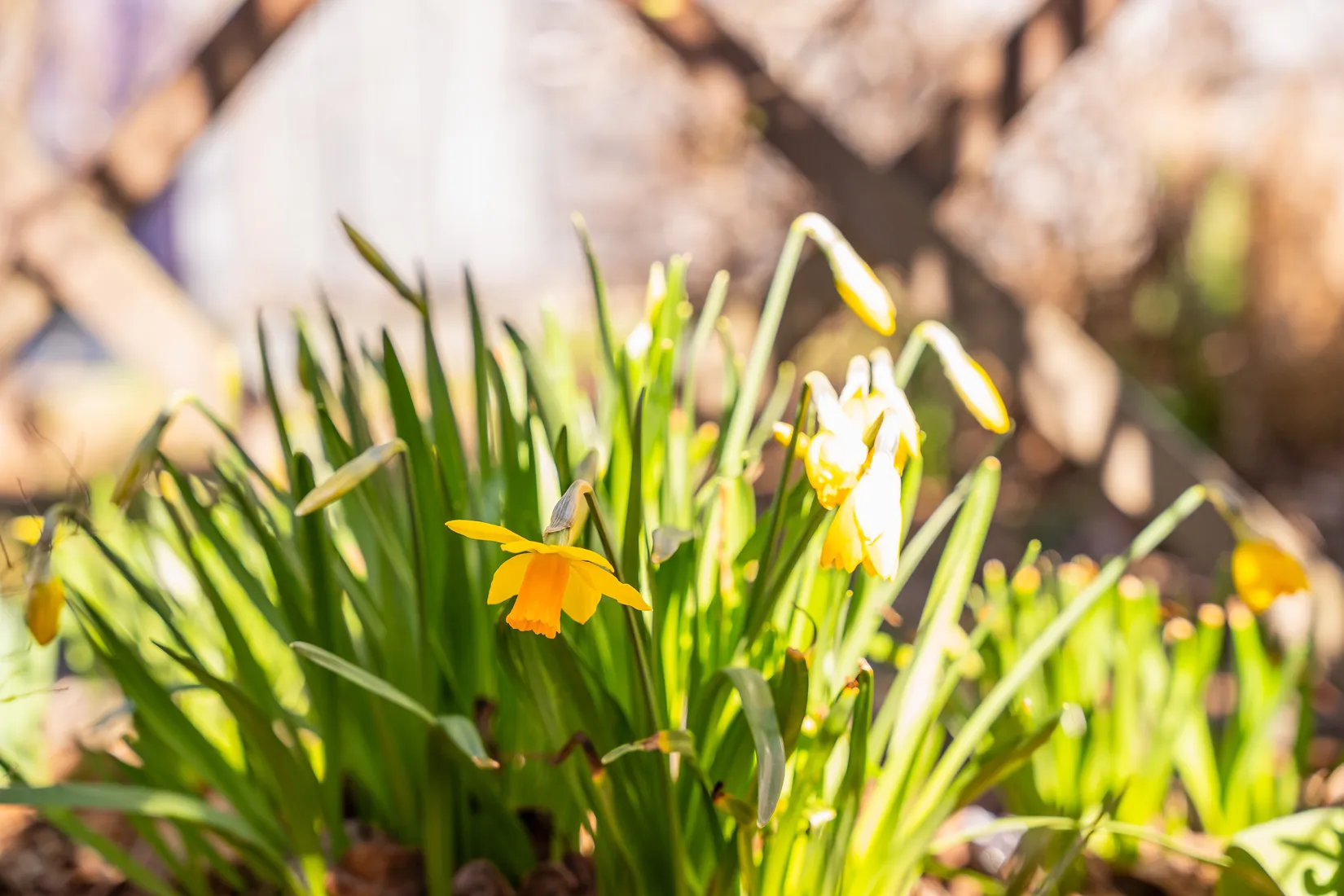 Fritidshus, Syrenvägen 27, Norrköping