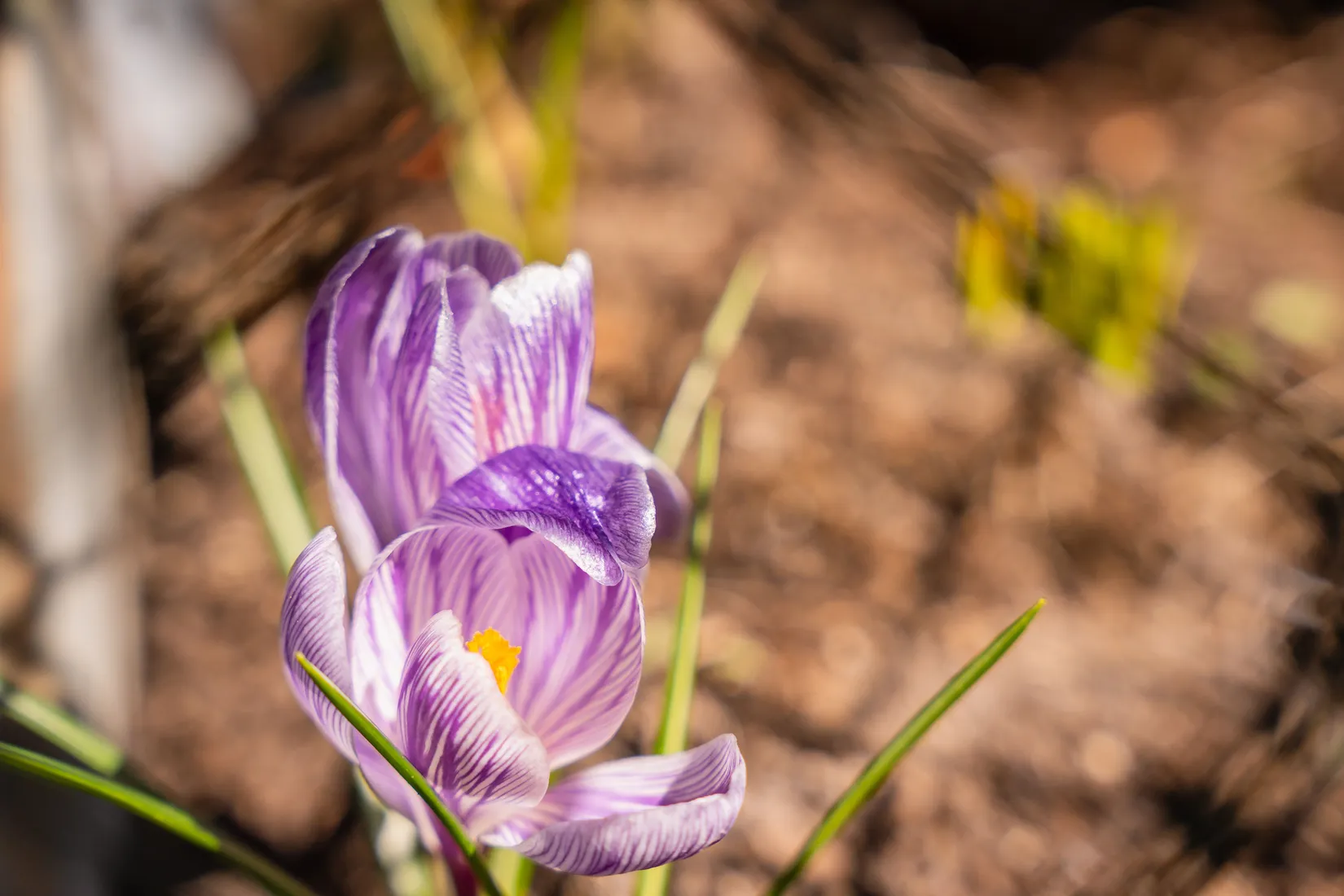 Fritidshus, Syrenvägen 27, Norrköping