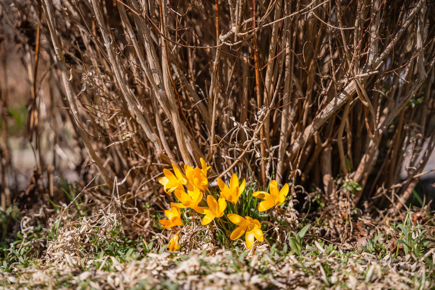 Fritidshus, Syrenvägen 27, Norrköping
