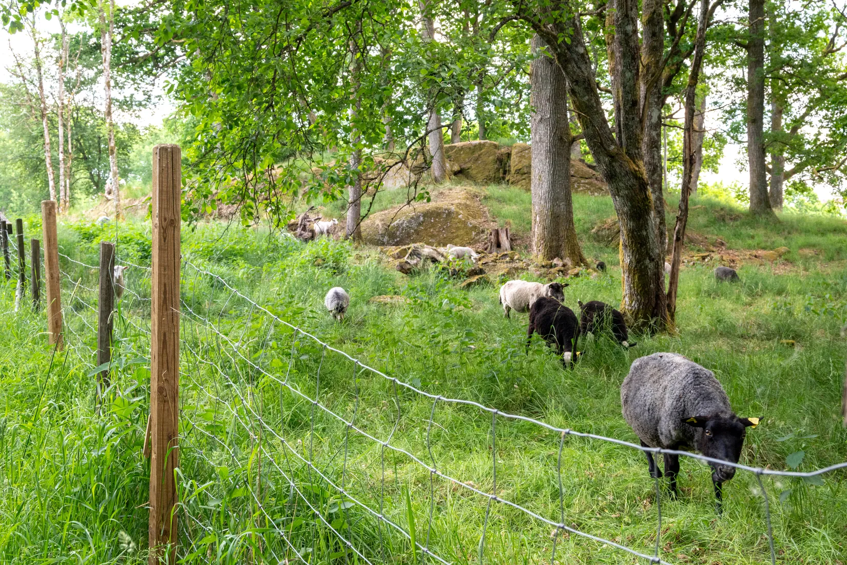 Bostadsrätt, Sonatgatan 16D, Hestra, Borås