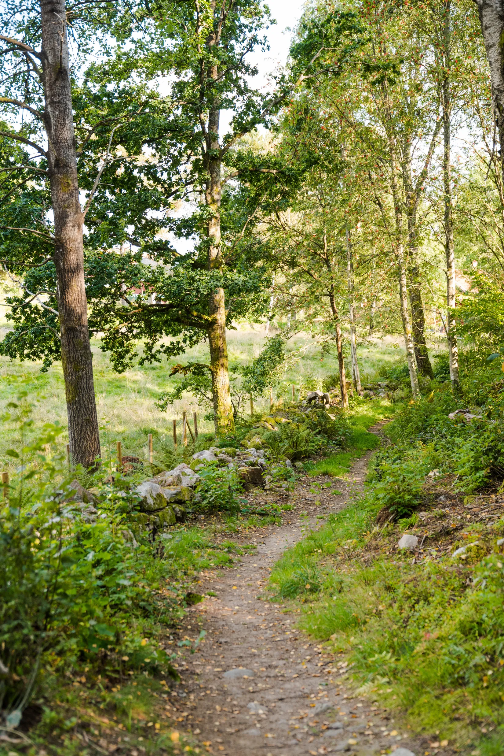 Bostadsrätt, Sonatgatan 16D, Hestra, Borås