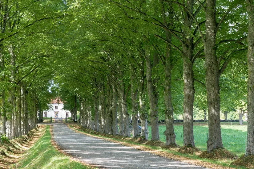 Bostadsrätt, Radhus, Stenmursvägen 4B, Gäddeholm, Västerås