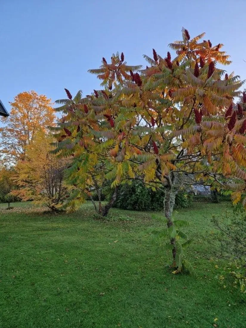 Villa, Hörsta 208, Hörsta, Kumla