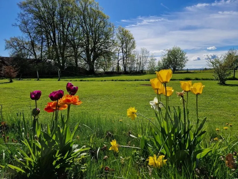 Villa, Hörsta 208, Hörsta, Kumla