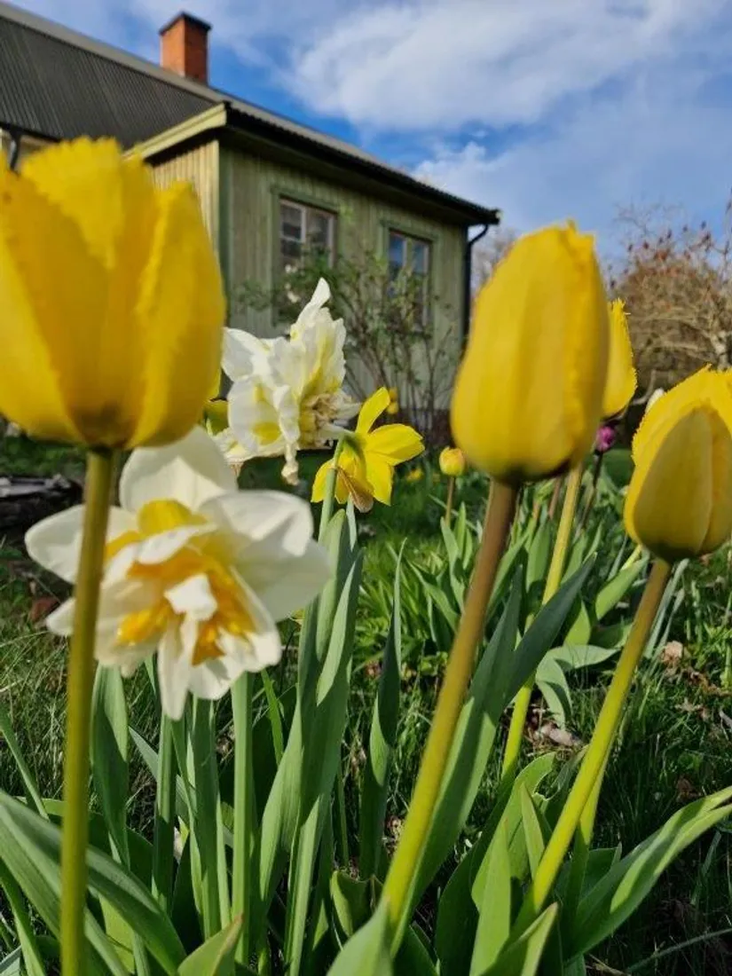 Villa, Hörsta 208, Hörsta, Kumla