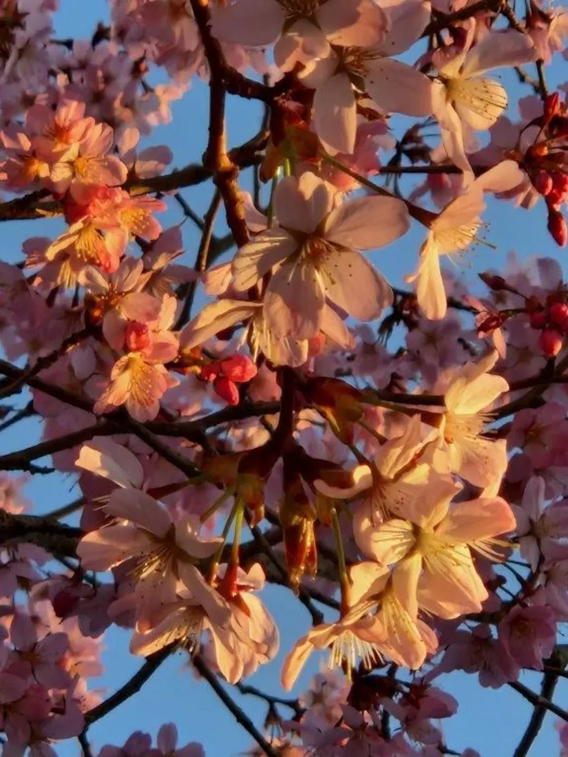 Villa, Hörsta 208, Hörsta, Kumla