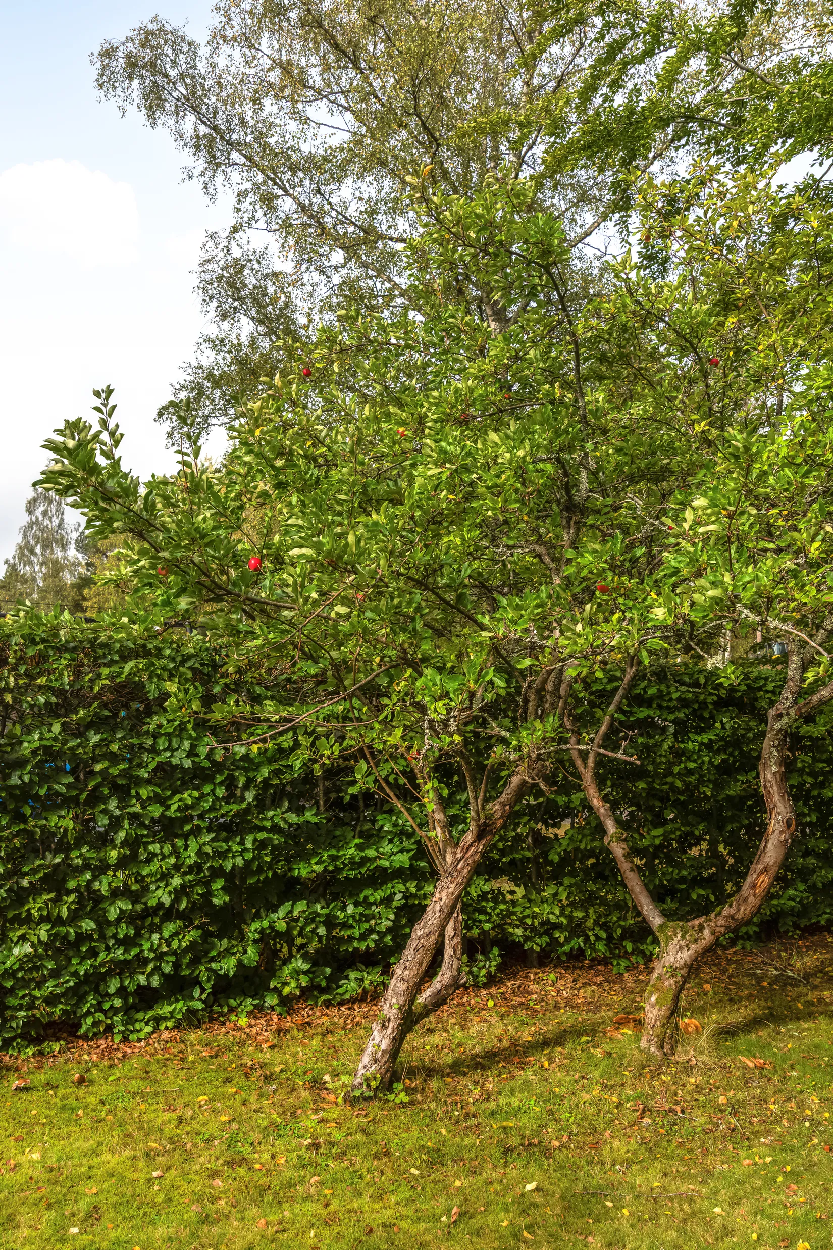 Villa, Starvägen 10, Värmdö - Strömma, Värmdö
