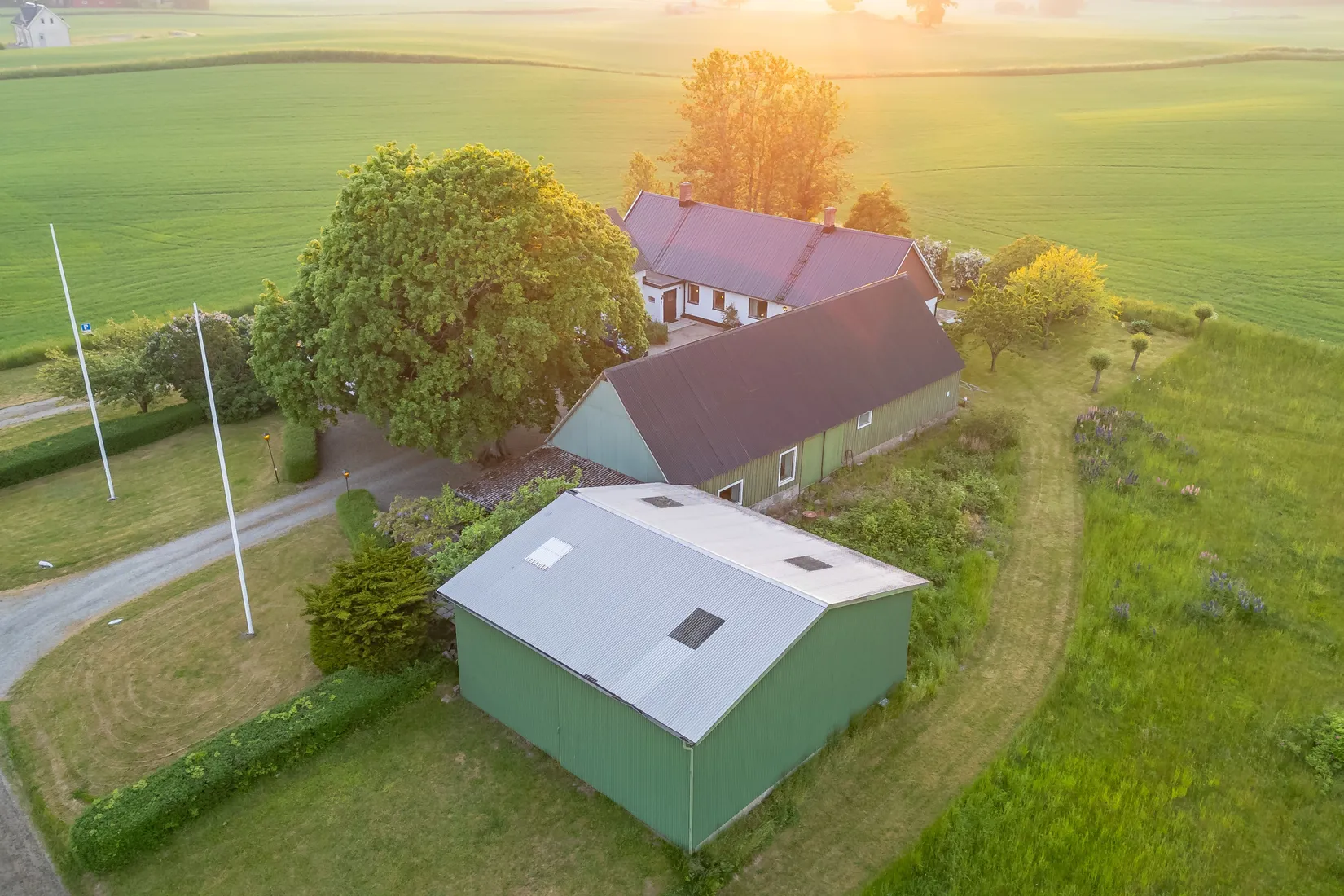 Gård/Skog, Killerödsvägen 34, Ystad