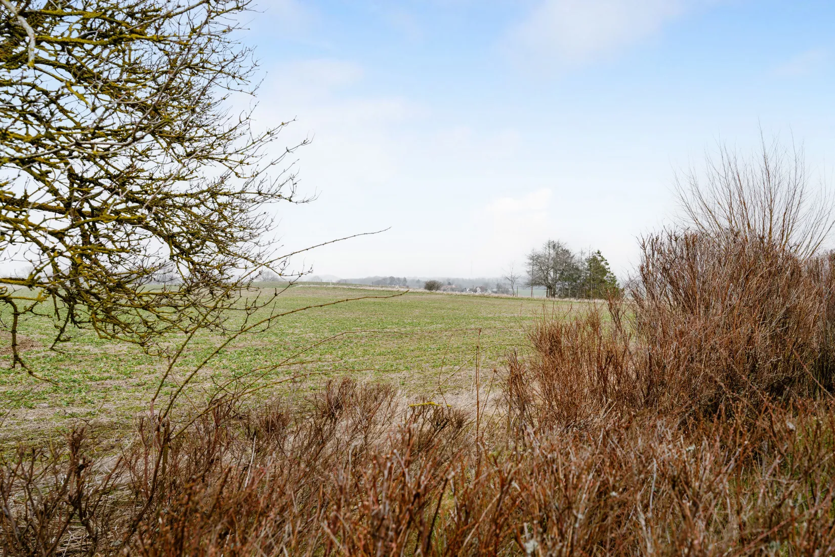 Gård/Skog, Killerödsvägen 34, Ystad