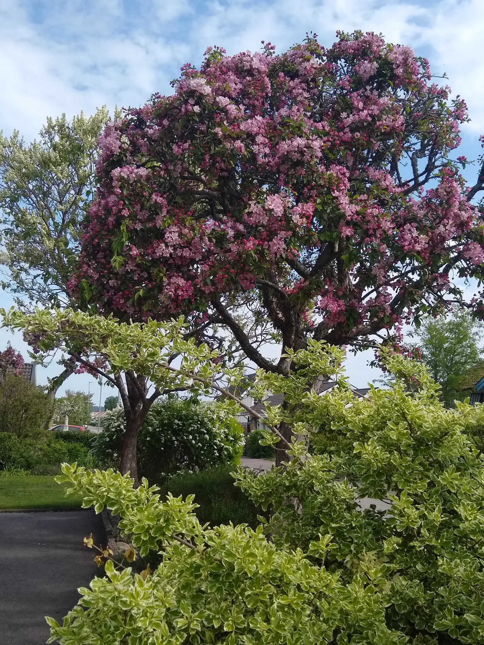 Villa, Borenshultsgatan 7, Borenshult, Motala