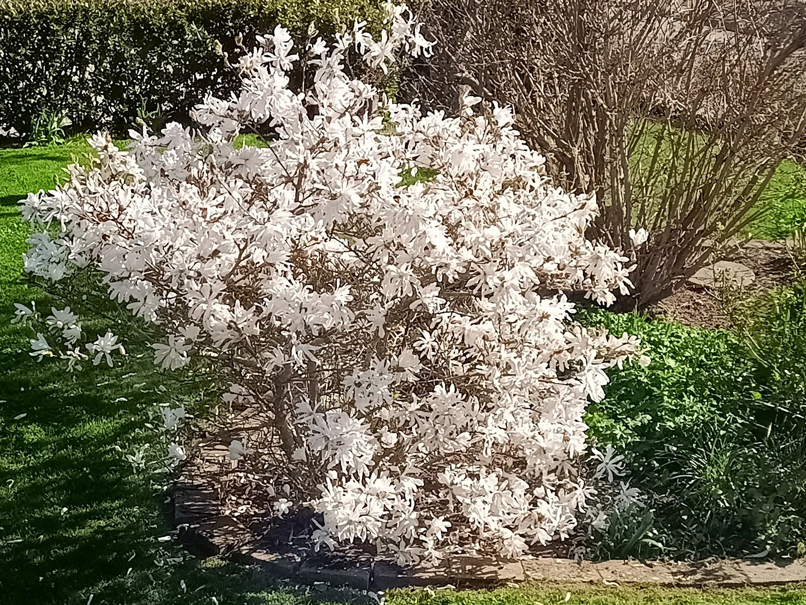 Villa, Borenshultsgatan 7, Borenshult, Motala