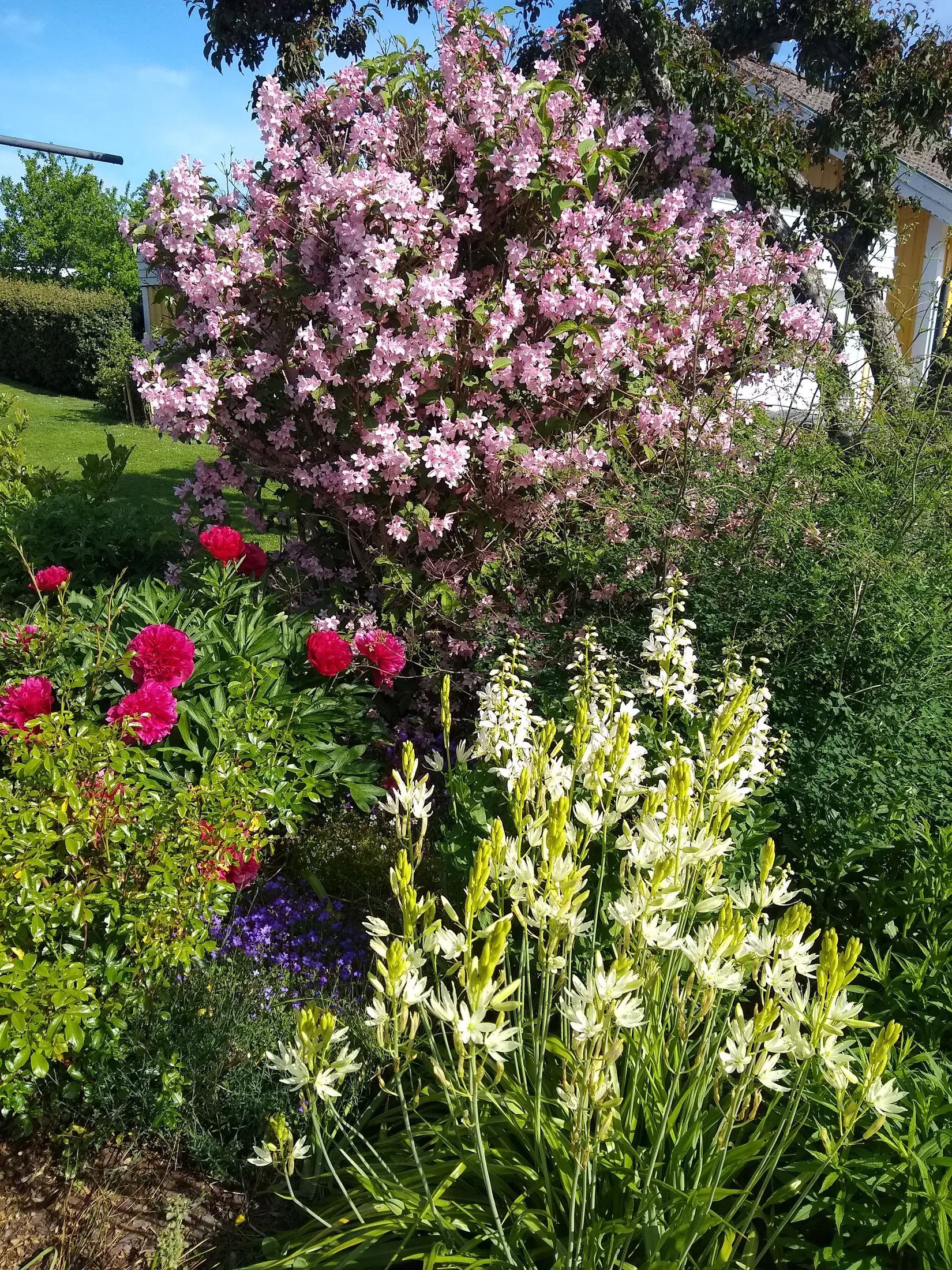 Villa, Borenshultsgatan 7, Borenshult, Motala