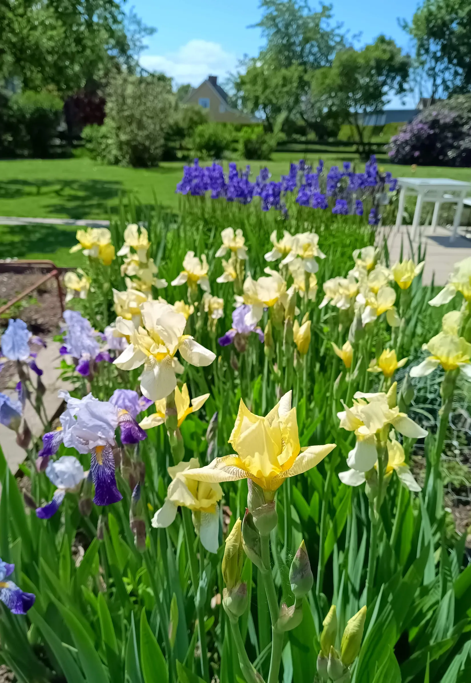 Villa, Borenshultsgatan 7, Borenshult, Motala