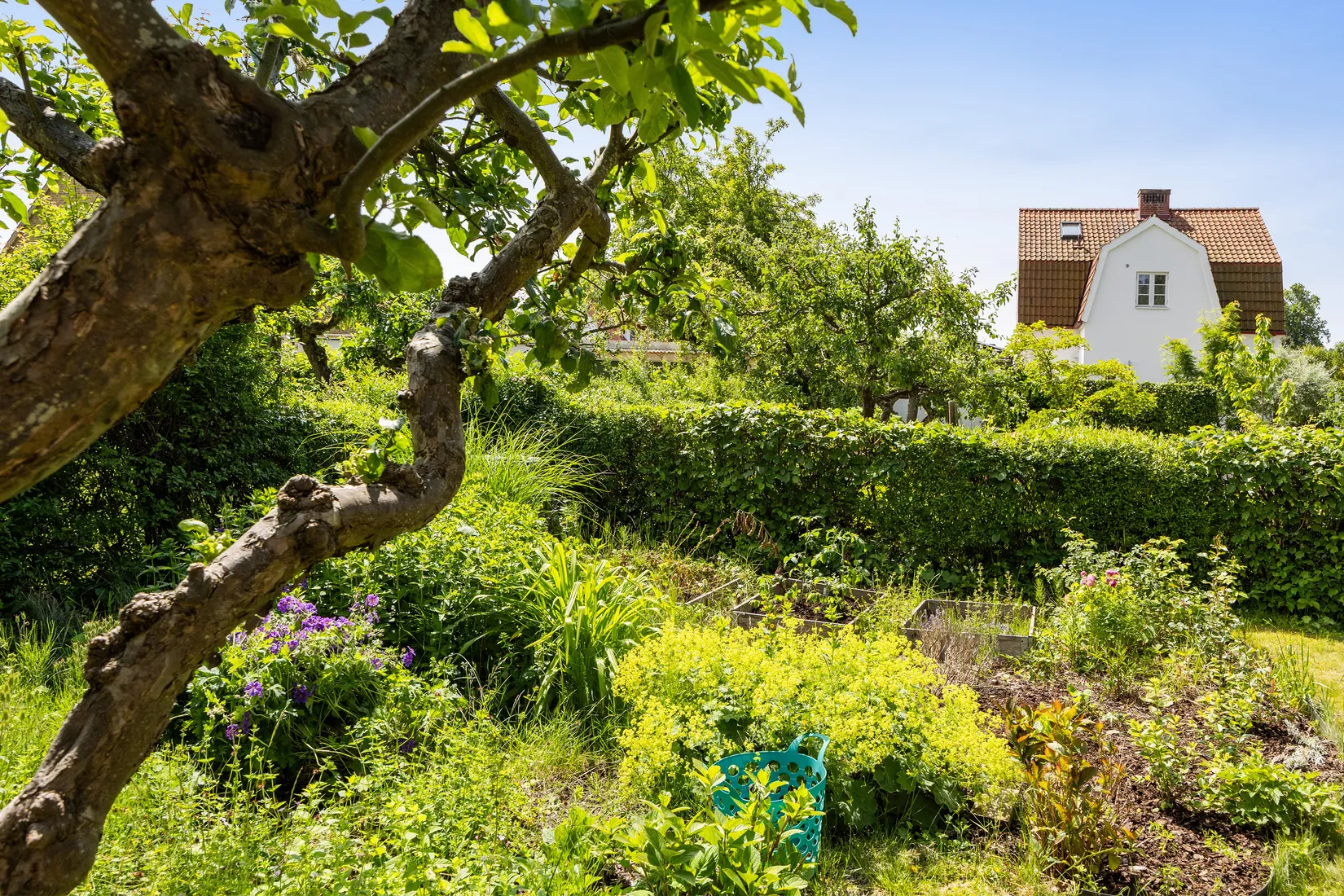 Villa, Björkgatan 8, Gamla delen, Lomma