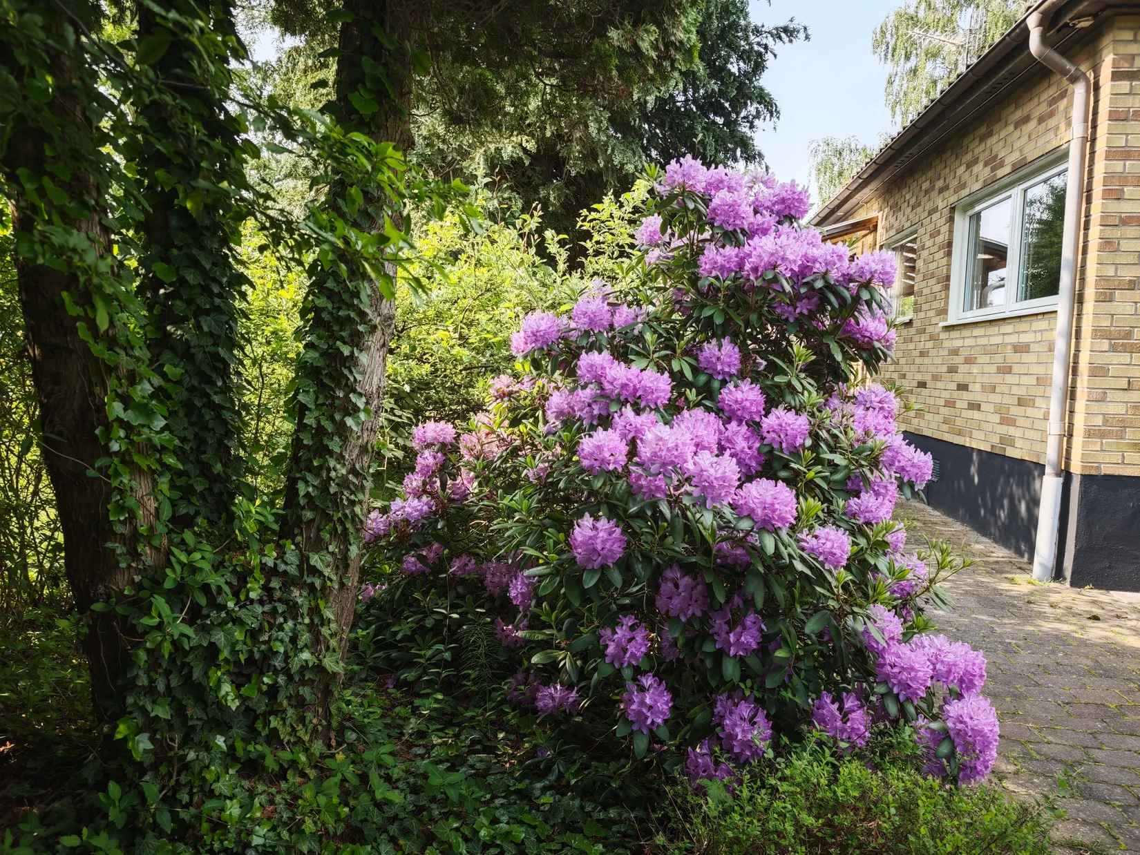 Villa, Björkgatan 8, Gamla delen, Lomma