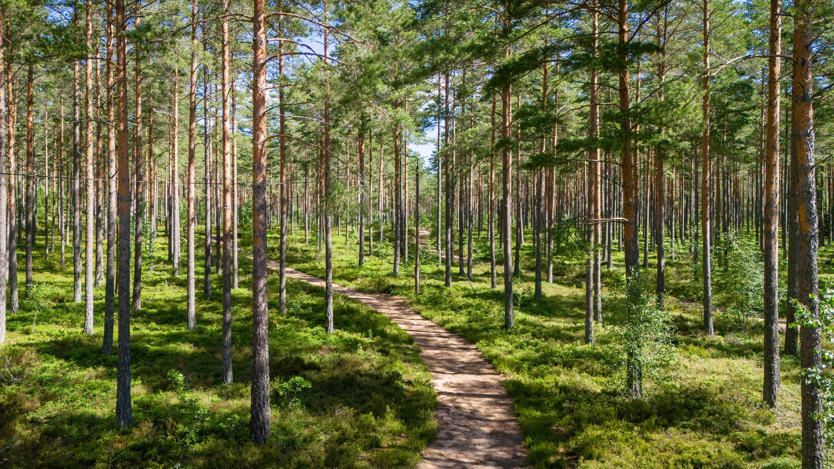 Villa, Idunvägen 99, Krokek, Norrköping