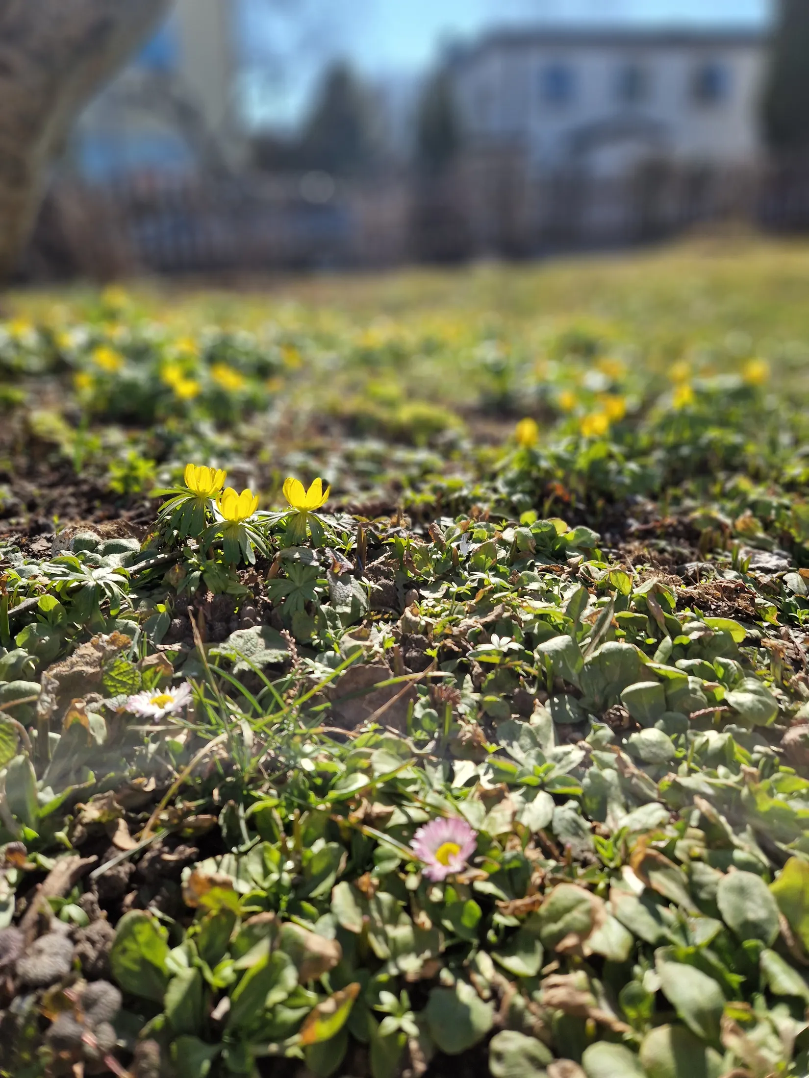 Villa, Lammholmsbacken 58, Skärholmen, Stockholm