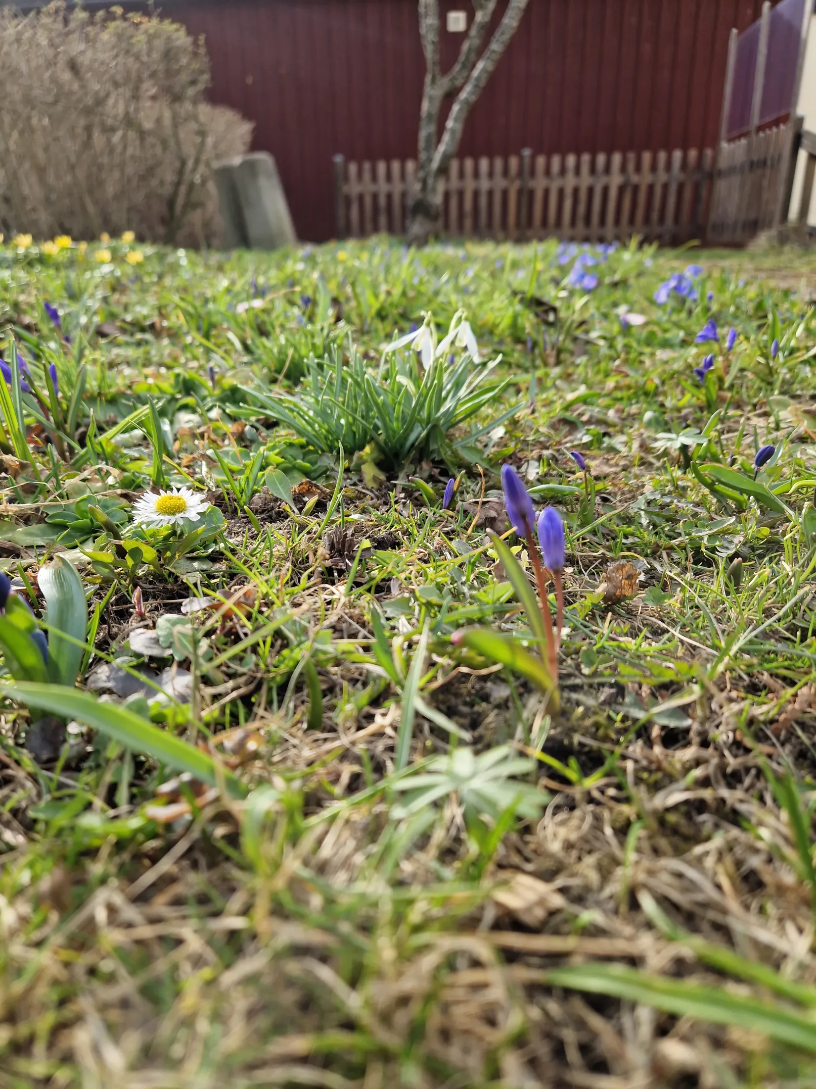 Villa, Lammholmsbacken 58, Skärholmen, Stockholm