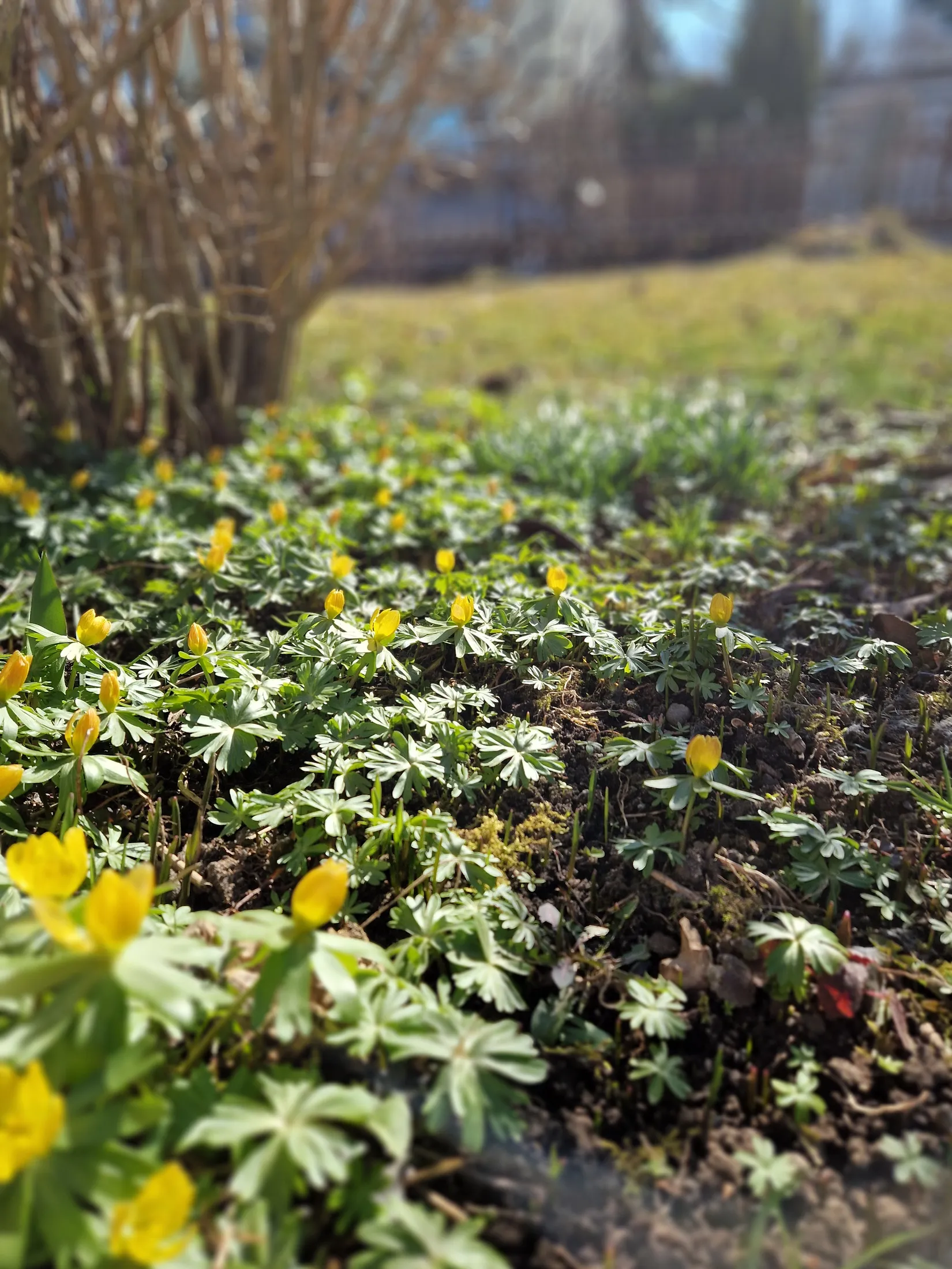 Villa, Lammholmsbacken 58, Skärholmen, Stockholm
